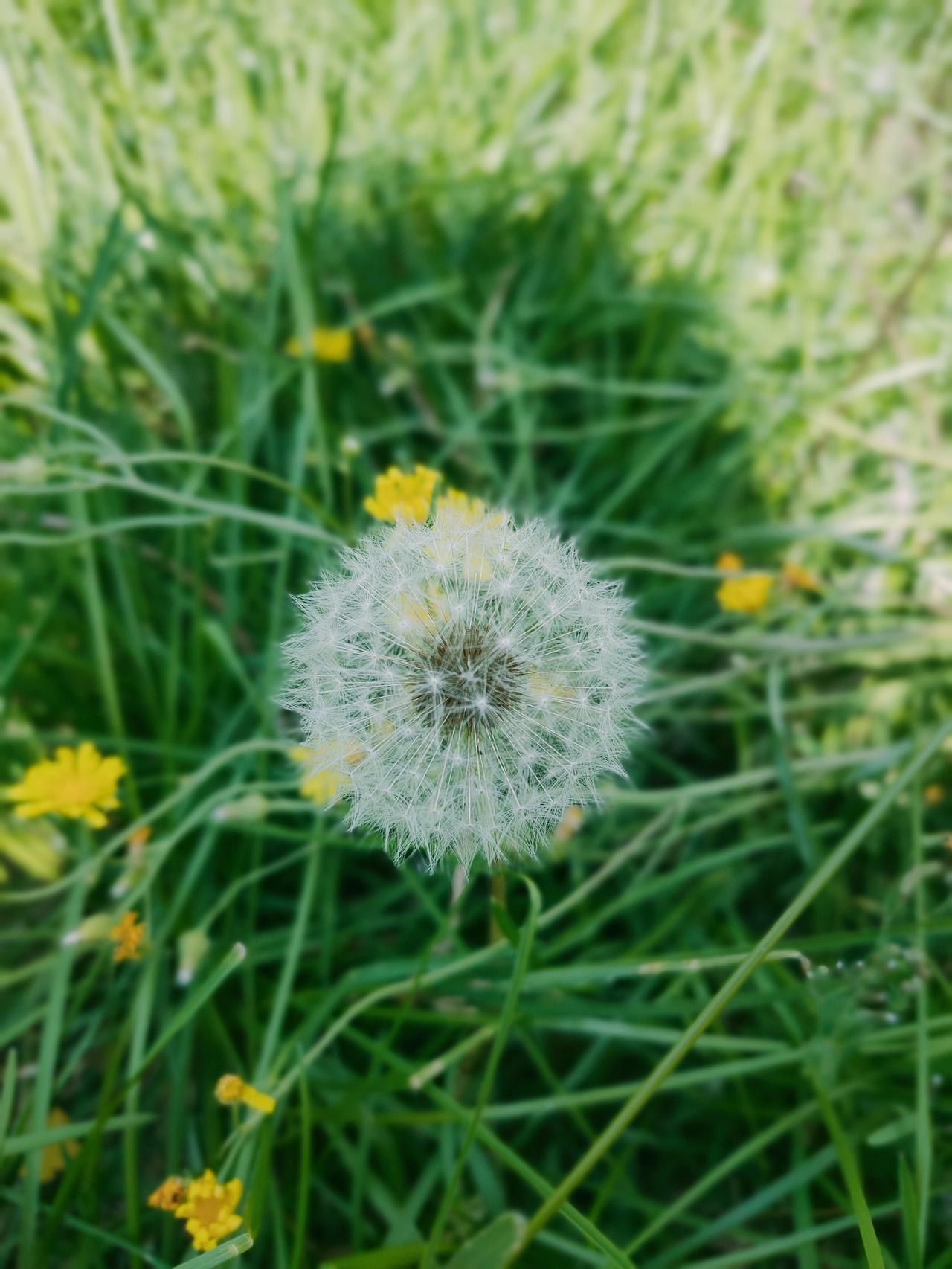 夏日生活打卡季