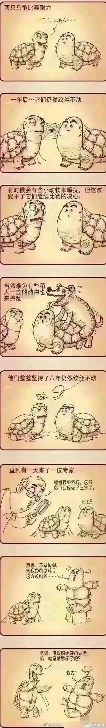 看到最后哈哈哈哈哈哈 #专家建议不要买低价机票# ​​​