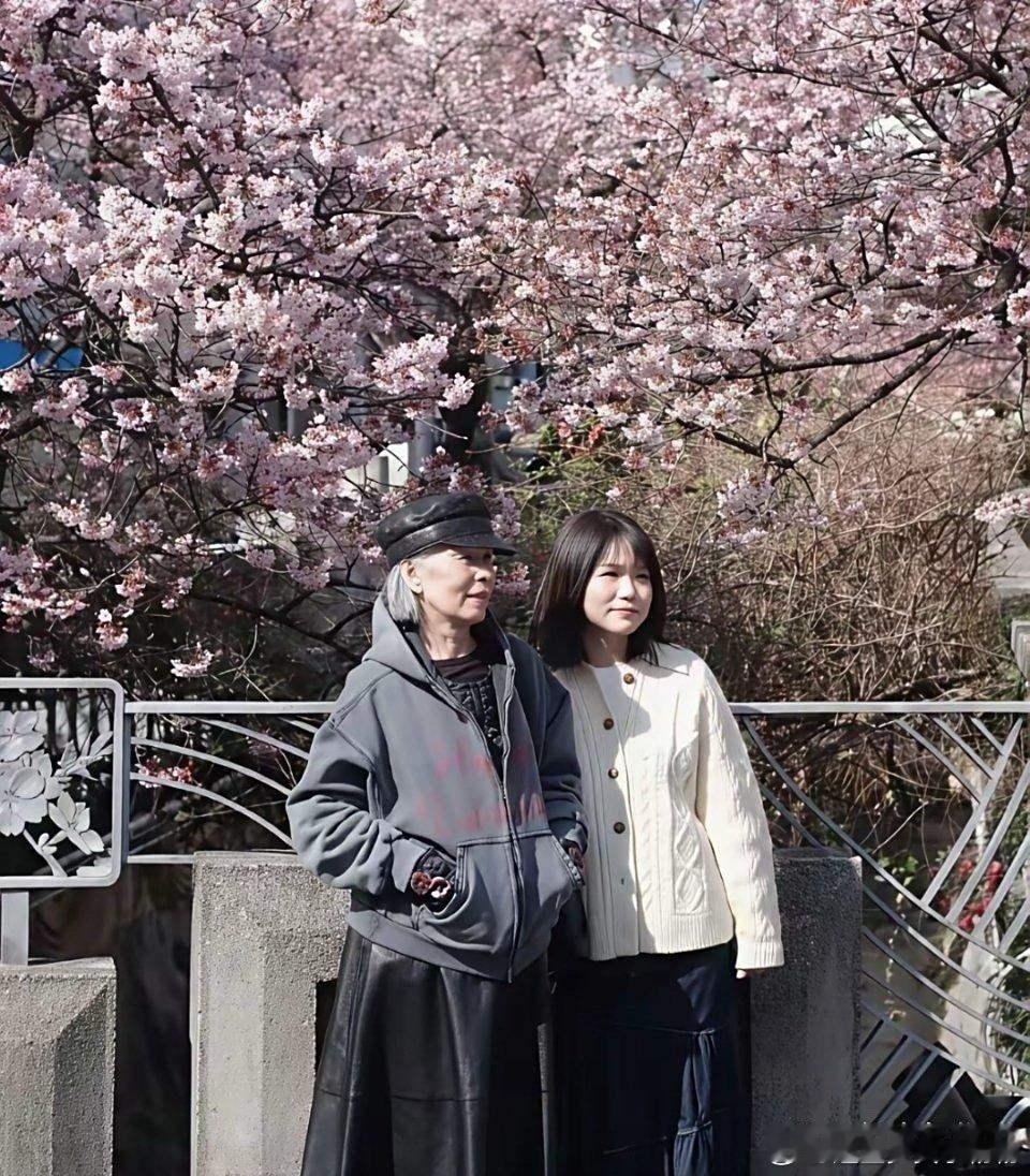 周杰伦的妈妈叶惠美在日本赏樱花被偶遇，老太太已经70多岁了，穿衣打扮还很潮，状态
