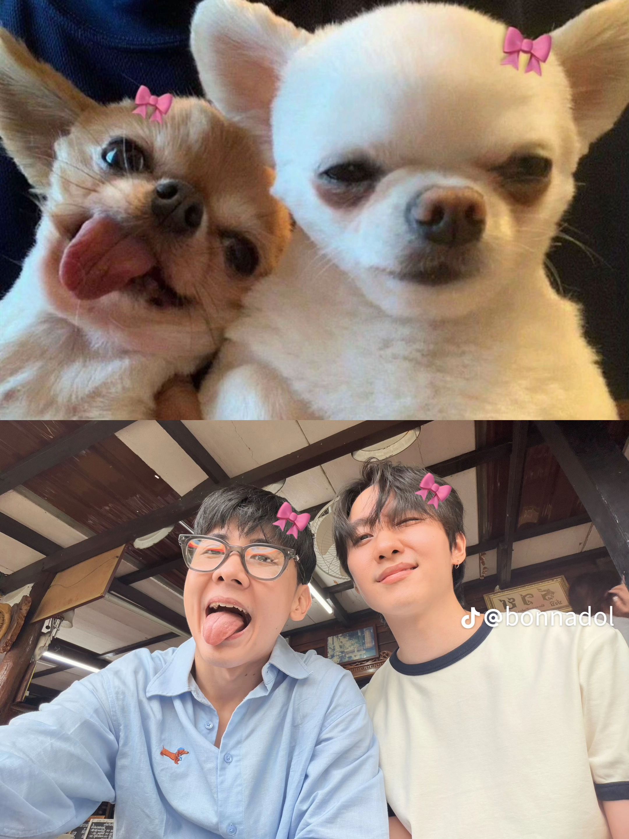 太可爱了吧。。。我要抄这个好龟龟合照 