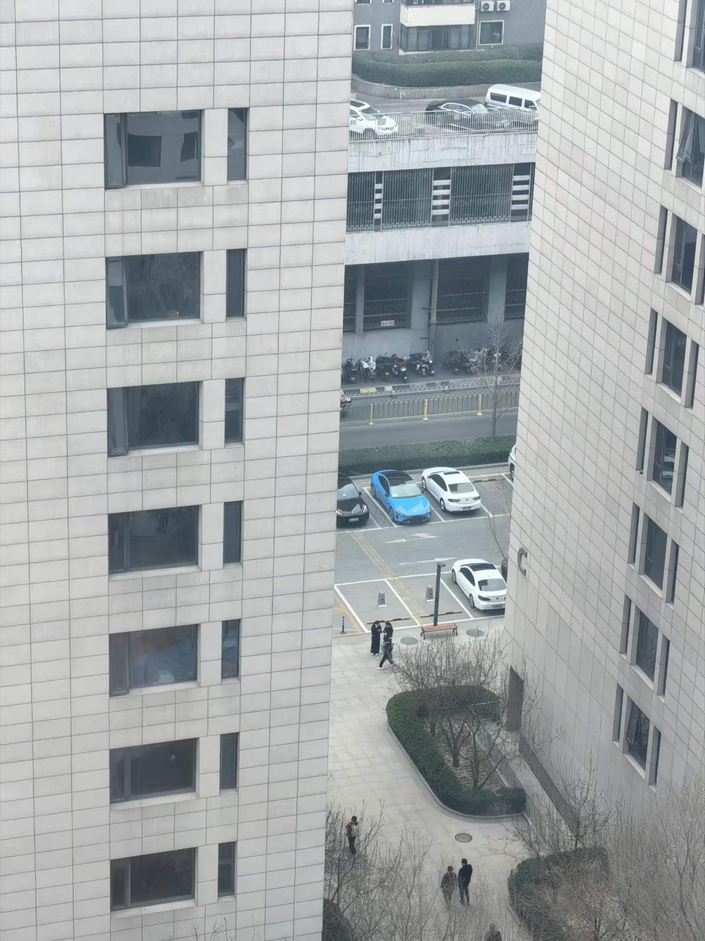 车若初见 好快啊