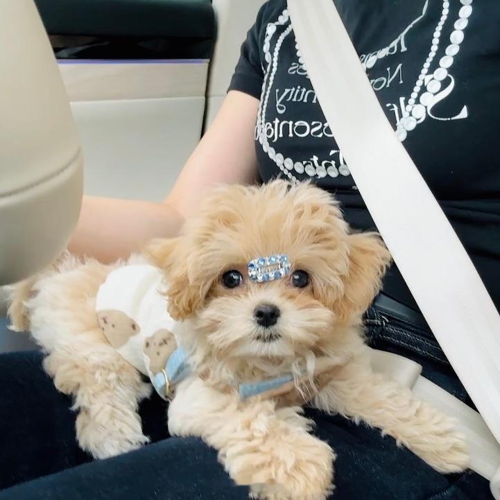 周末带宝宝出门玩咯！[doge] ​​​