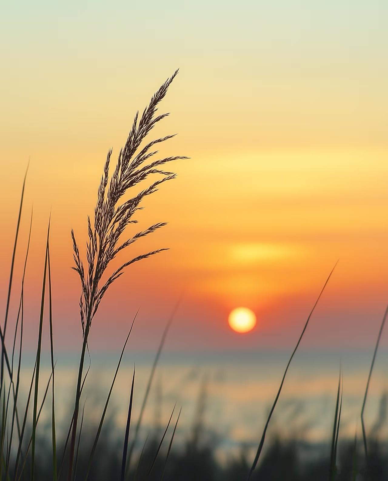 不知道你有没有经历过这样的事：明明只是和某个人有点小矛盾，结果没多久，发现他身边