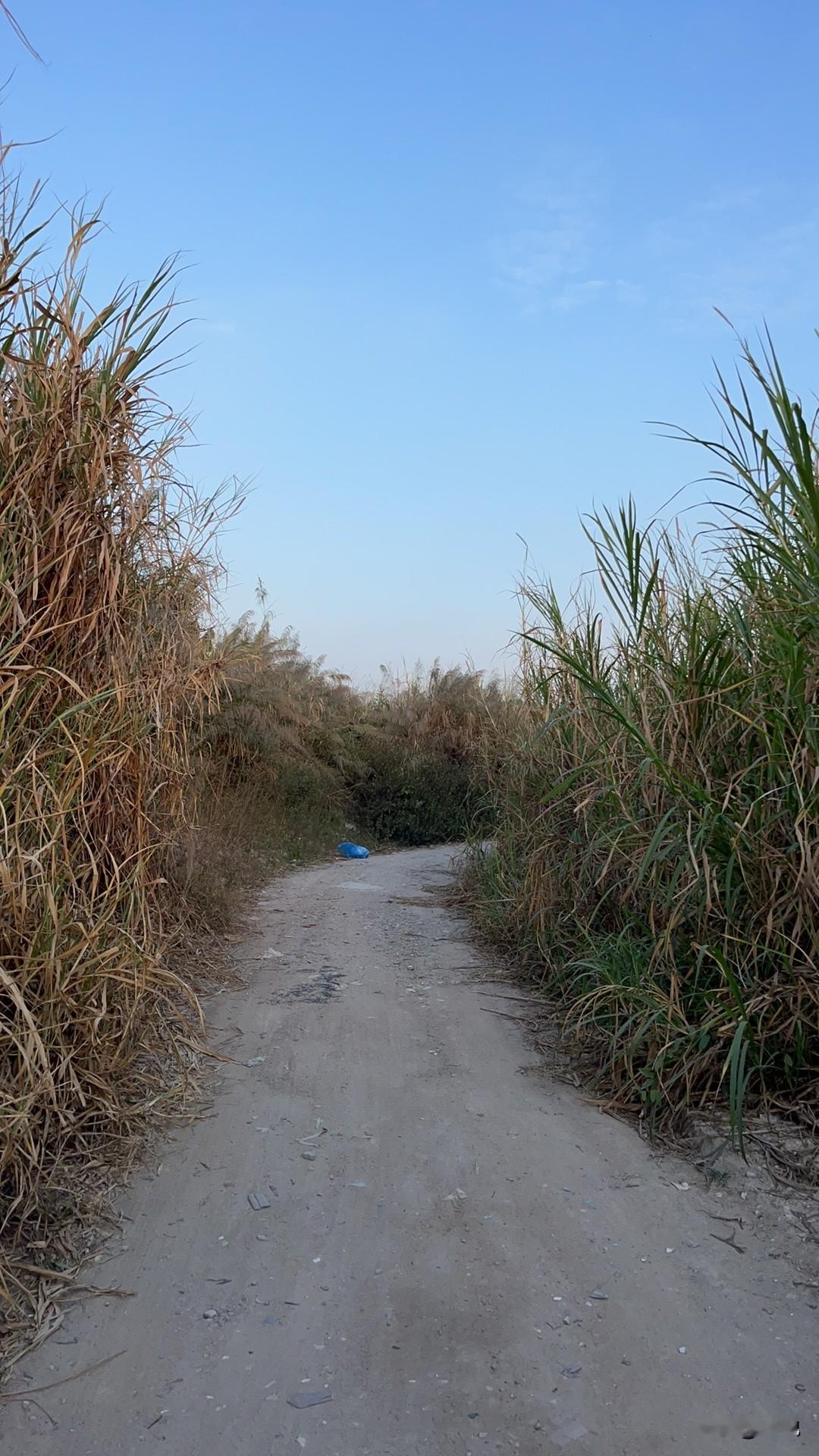 我发现
微头条也是奇怪。
我认认真真
码字半小时写的东西，
结果展现几百，
阅读