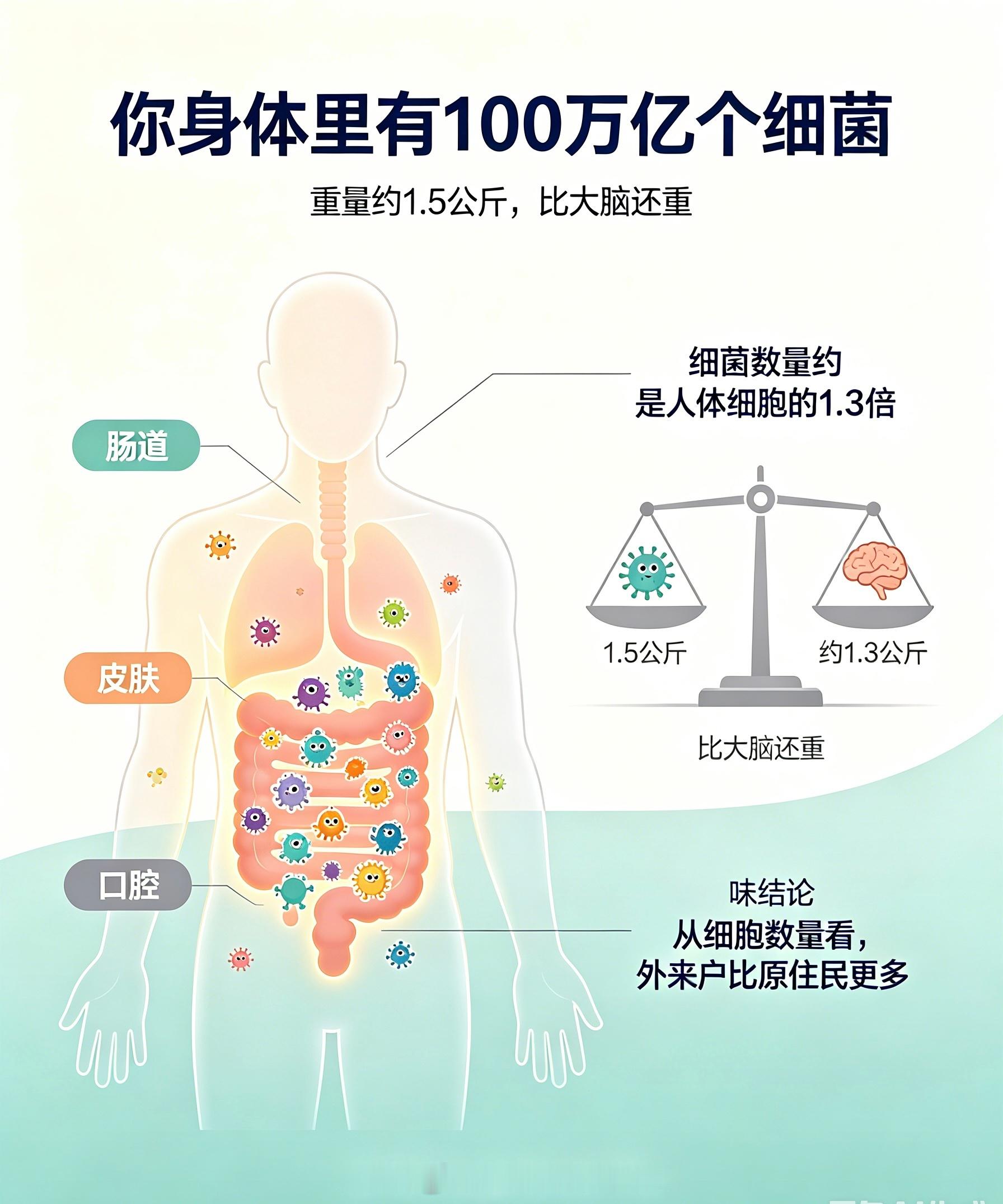 人的体内大约有100万亿个细菌，重量约1.5公斤，比大脑还重。它们分布在肠道、皮