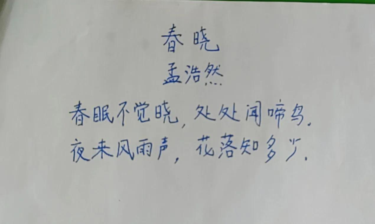 第46天，花落知多少的时候快到了！