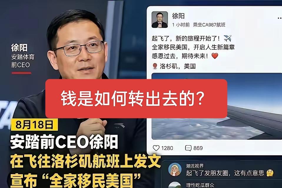 安踏前CEO徐某全家称民老美，他的钱是如何转出去的？是不是应该查一下子？真不理解