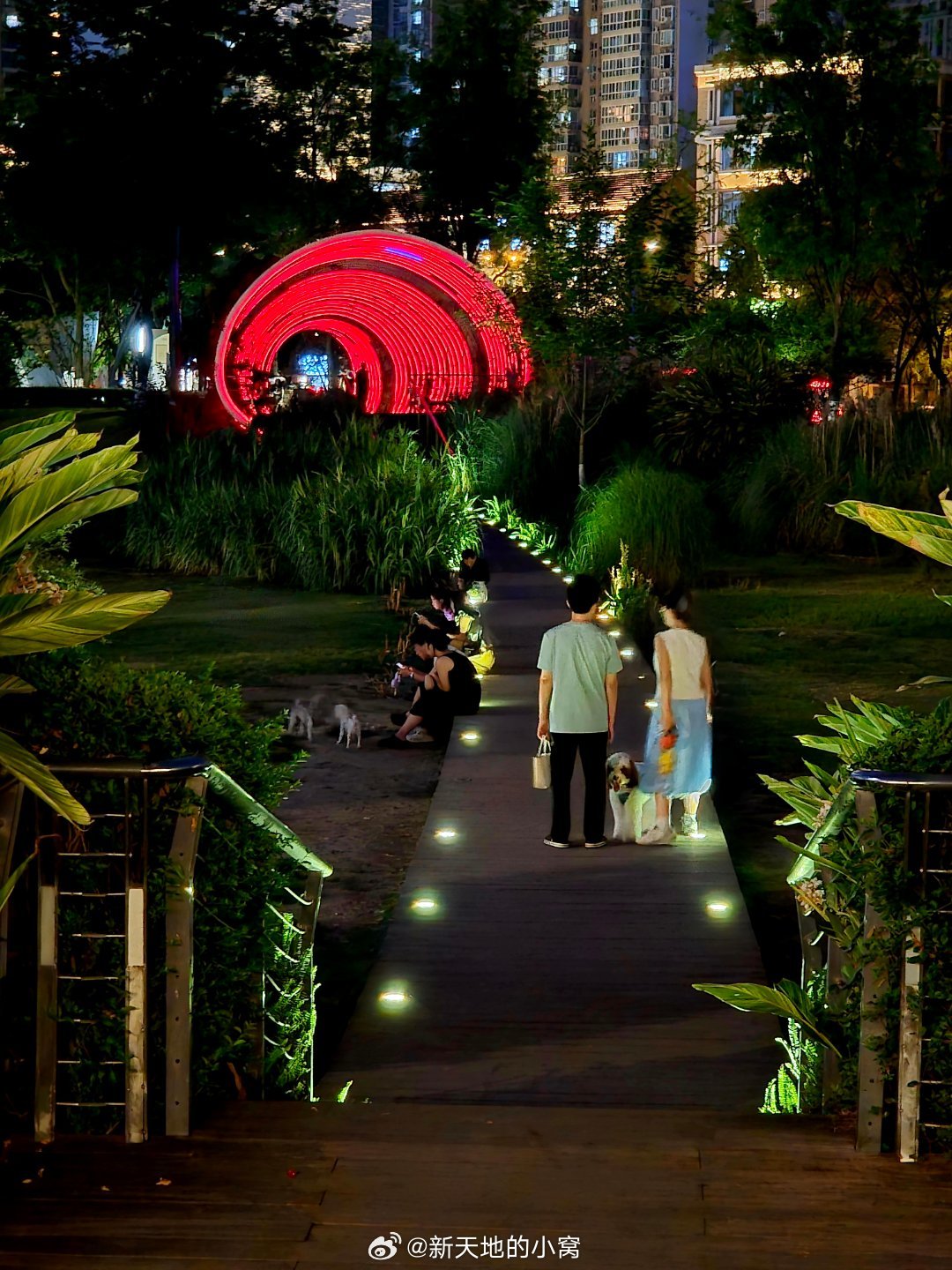公园城市幸福成都我被成都的夜晚迷住了这样的成都你确定不来手机摄影爱好者夜晚的成都