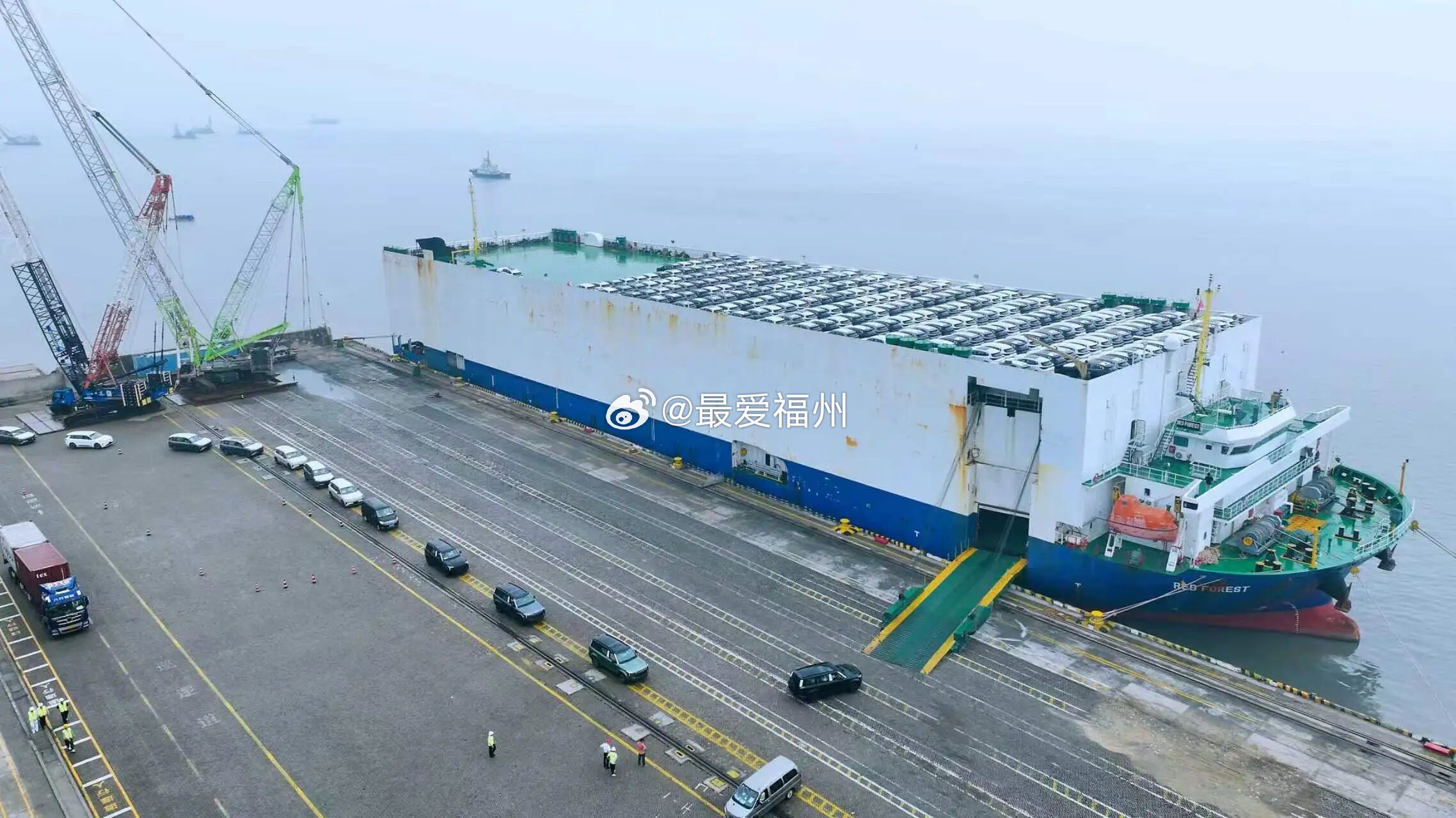 10个品牌的商品车从福州启航！创下江阴港区单航次出口汽车品牌数量新高福州港江阴港