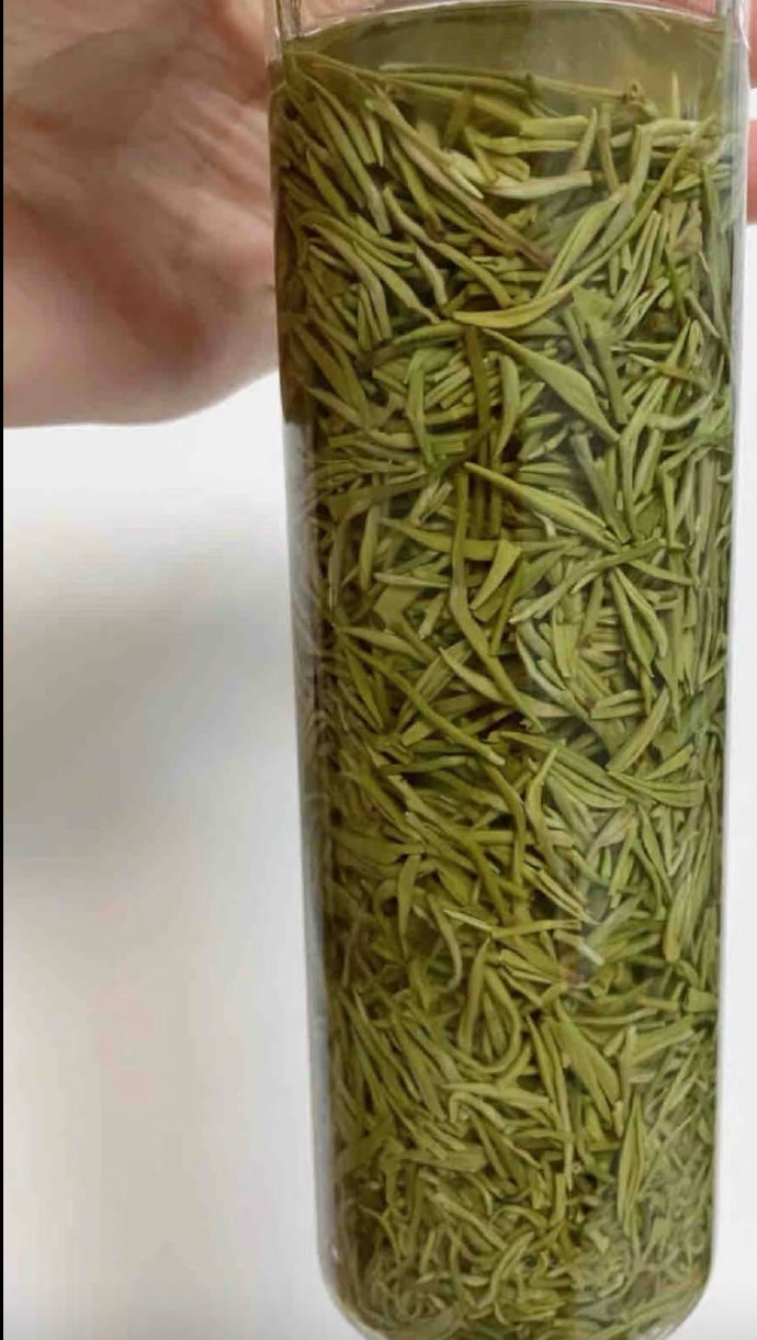 打工人泡的茶能有多浓