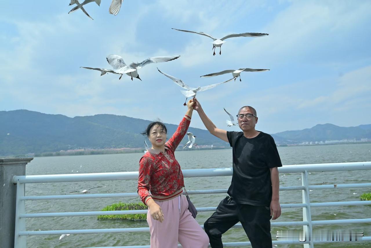 天南地北大拜年