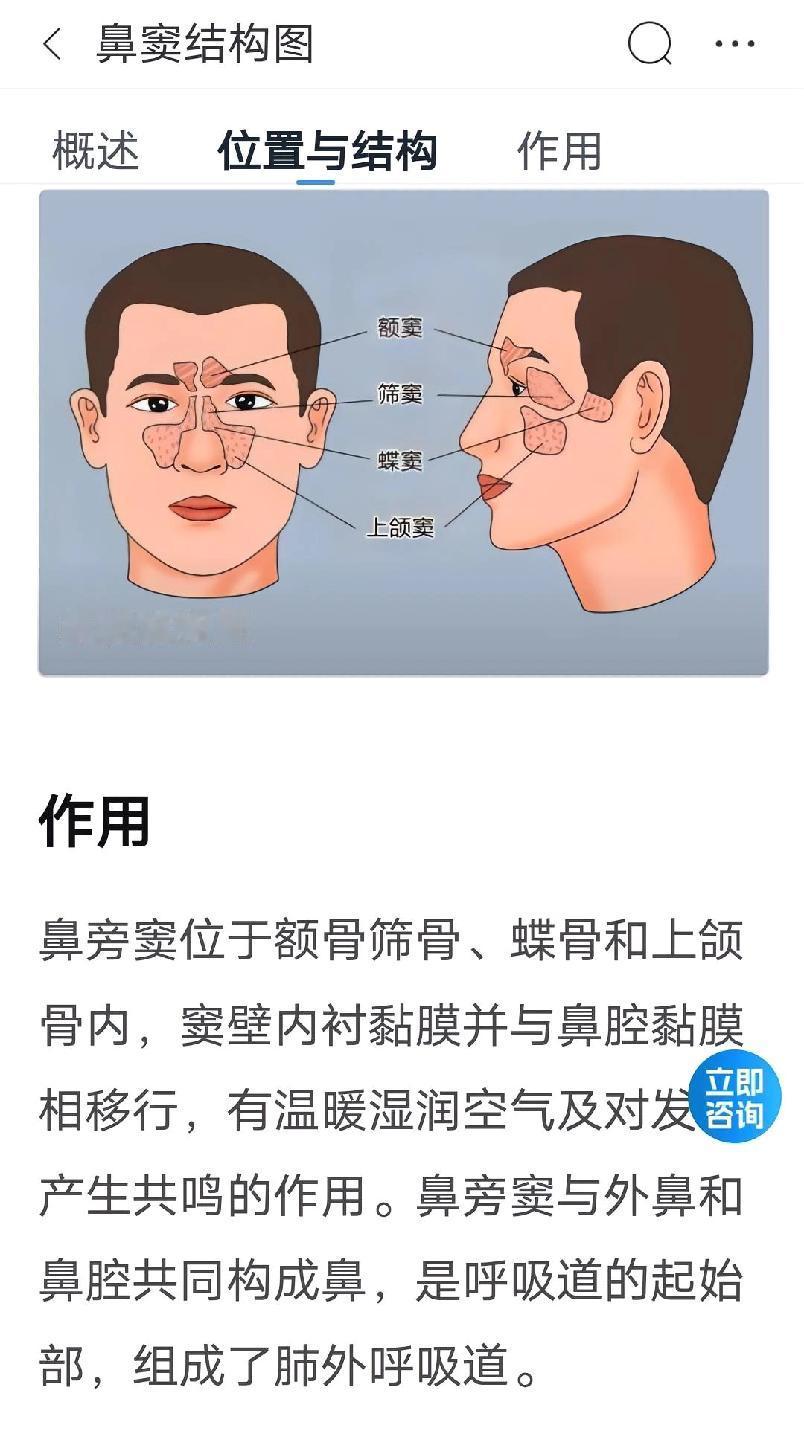 鼻窦炎只有手术能治好吗? 鼻窦炎能根治吗 我的鼻窦炎中医治疗过程之七（还有之八、