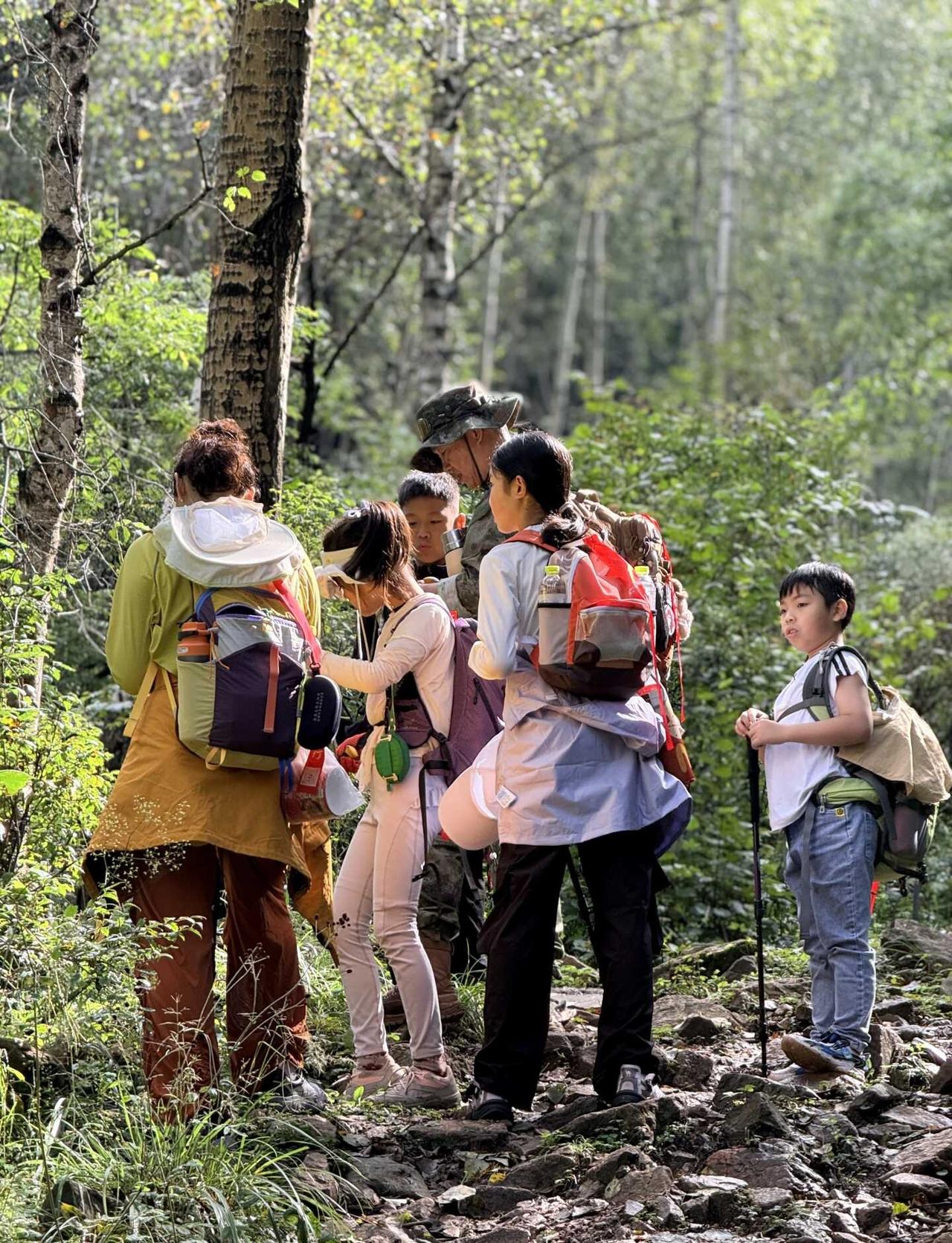 山林里，是大自然的课堂🌳
寻一处小众山野，踩落叶、越乱石，
看云雾越过山脊。