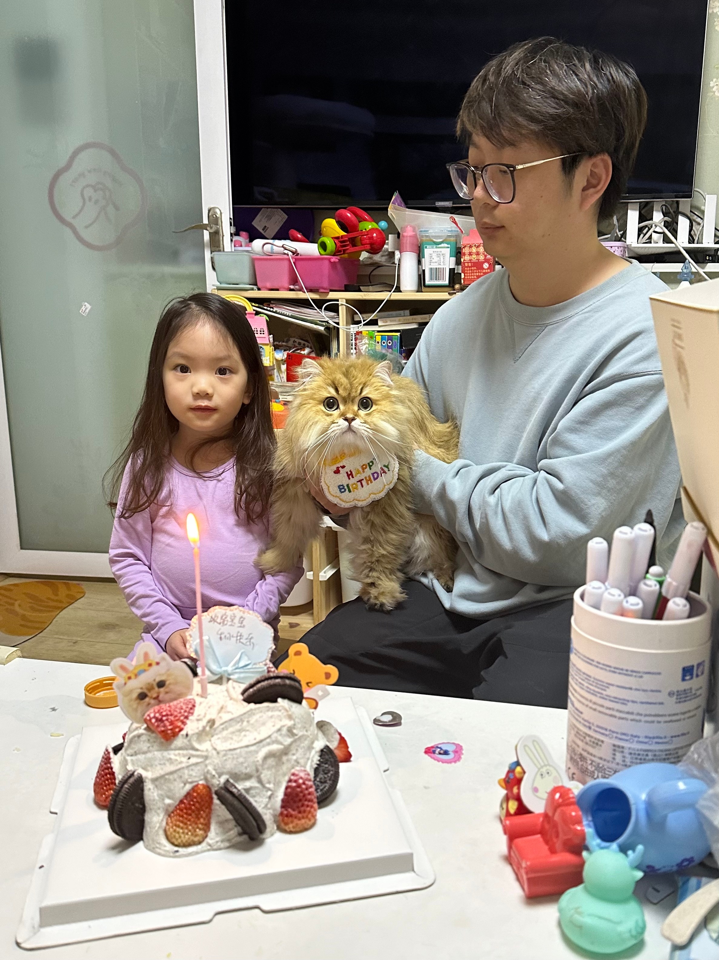 ㊗️我们欧酱，八戒，chichi生日快乐#英国长毛猫##英国短毛猫##辣椒家新家