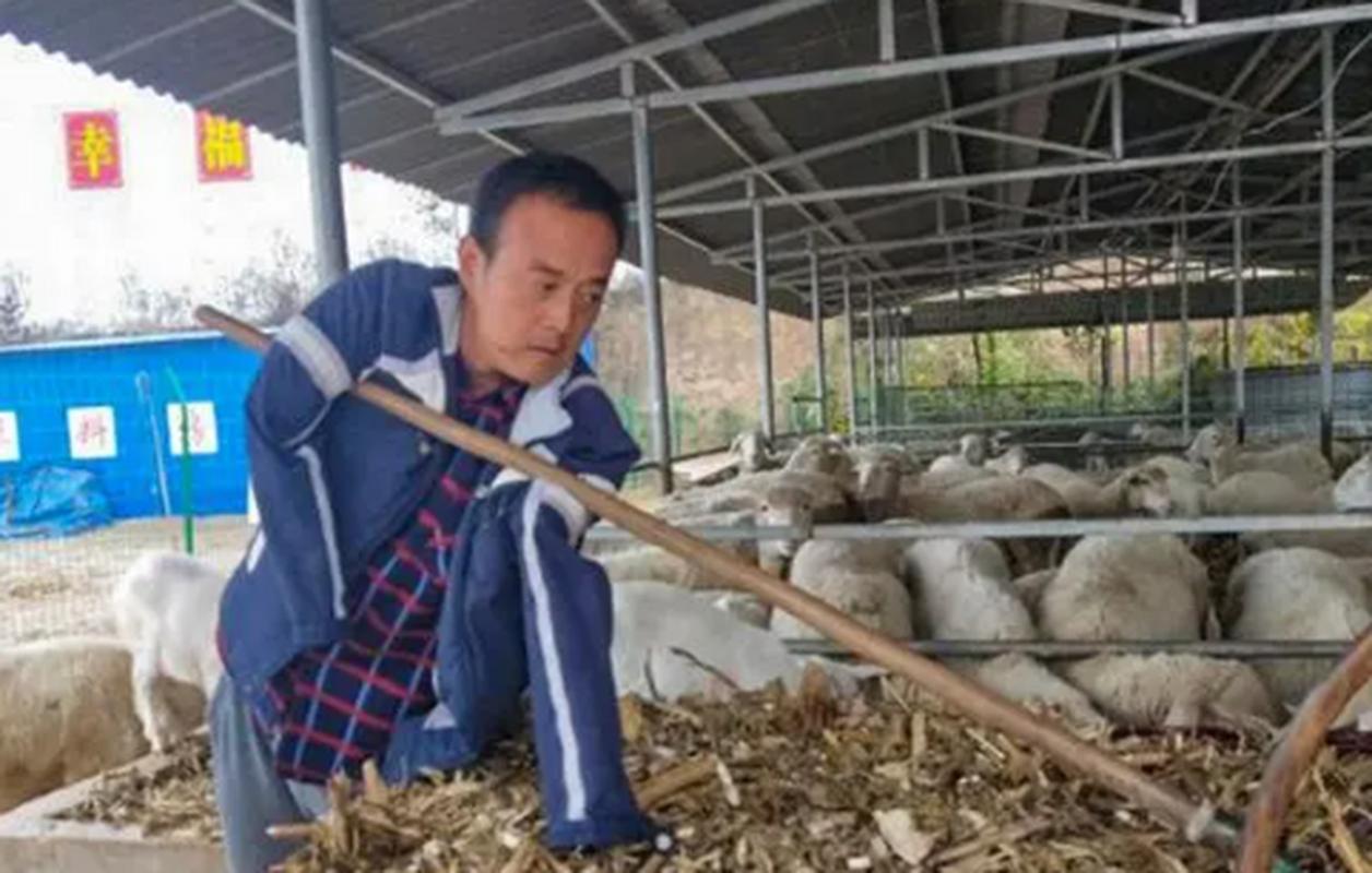 2003年，上门女婿刘斌意外失去双臂，丢掉工作的他被妻子一家扫地出门，带着年幼儿