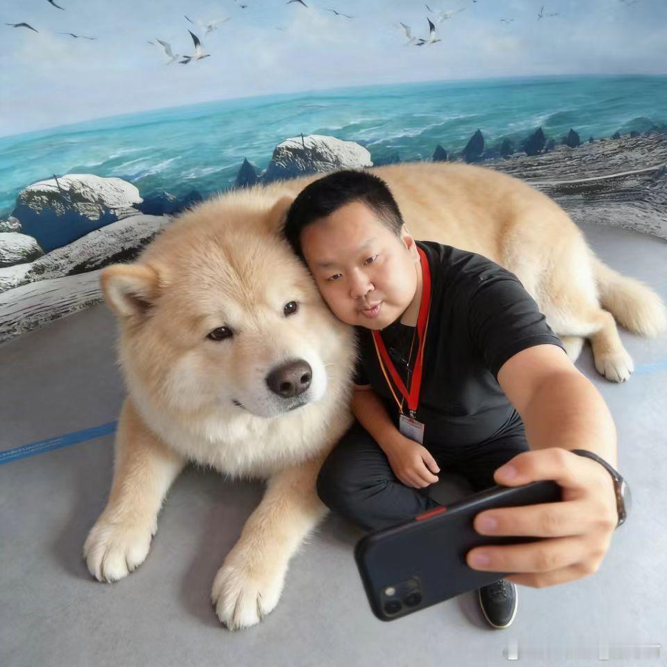 美伊停火协议到期哈哈。。看起来打的没完没了。 