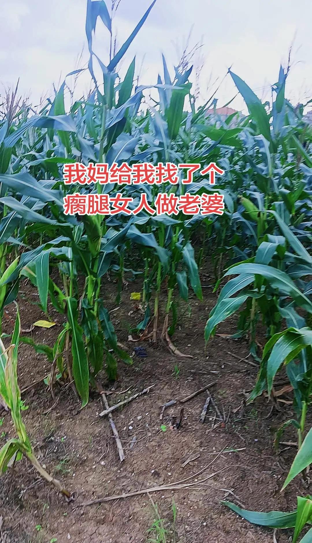 新王登基!吴宜泽改写斯诺克世锦赛历史，第一位零零后冠军出炉!决赛绝杀墨菲锁定冠军