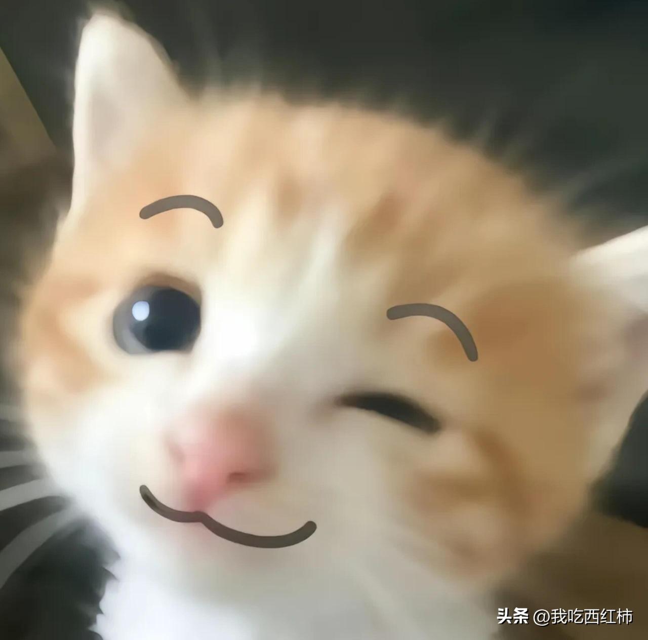 向妈妈借了500元在宿舍里摆摊
中专时期，我注意到了宿舍会在晚上十点关门，此时人