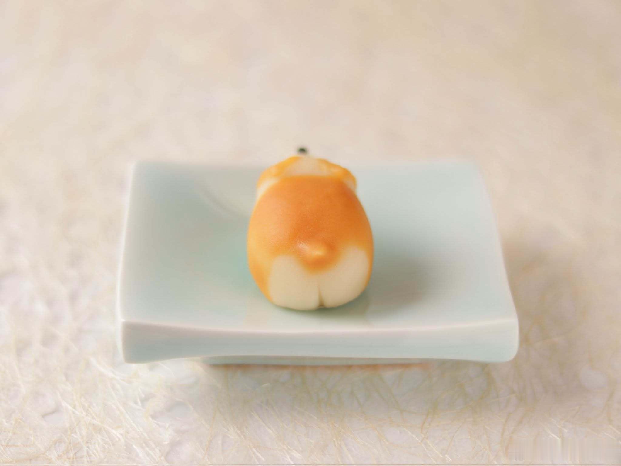 萌萌的小柯基点心🐶🍰 