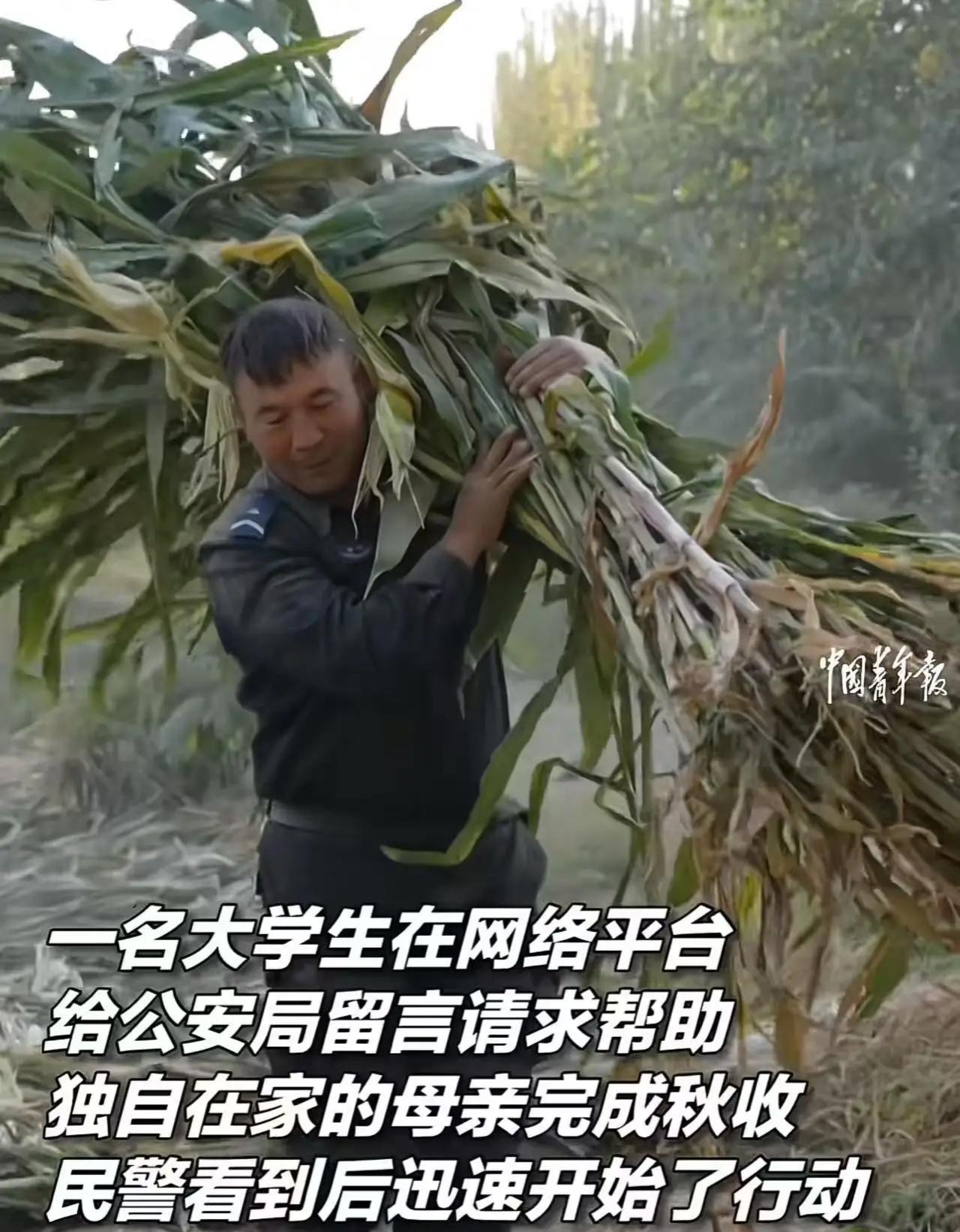 “这个派出所火到中国青年报！”大学生在外地上大学，担心母亲一人难以完成秋收，尝试