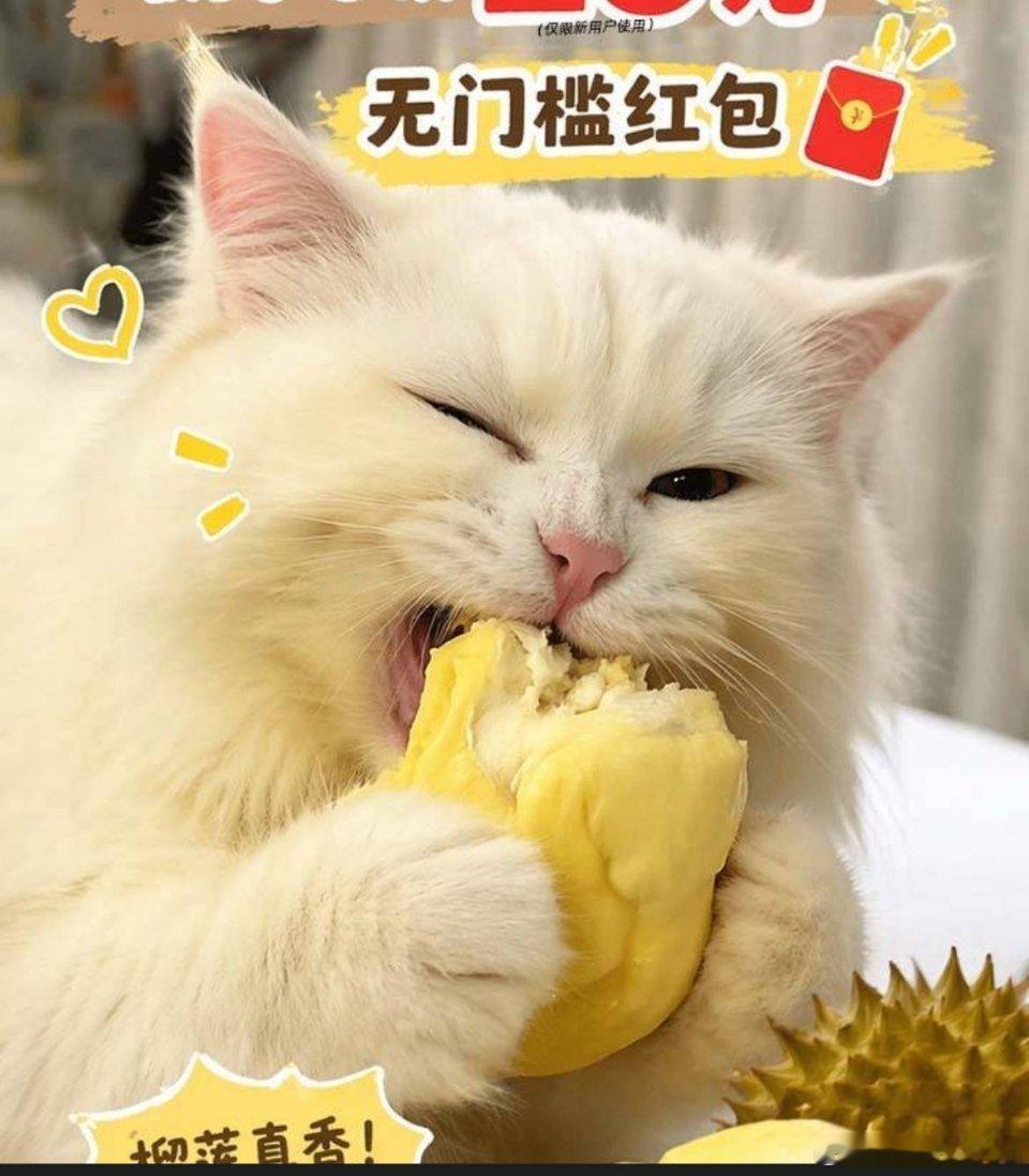 本周我完成了连续7天铁粉打卡，与的铁粉值额外增加1分！ 