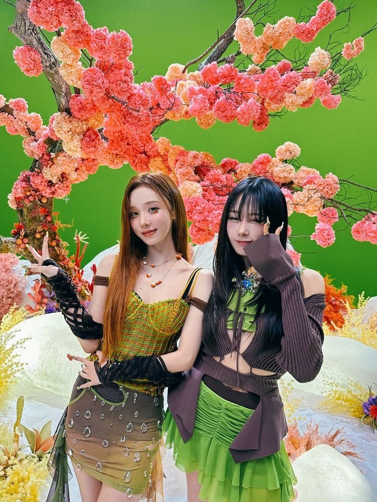 乌龟组合🐢 