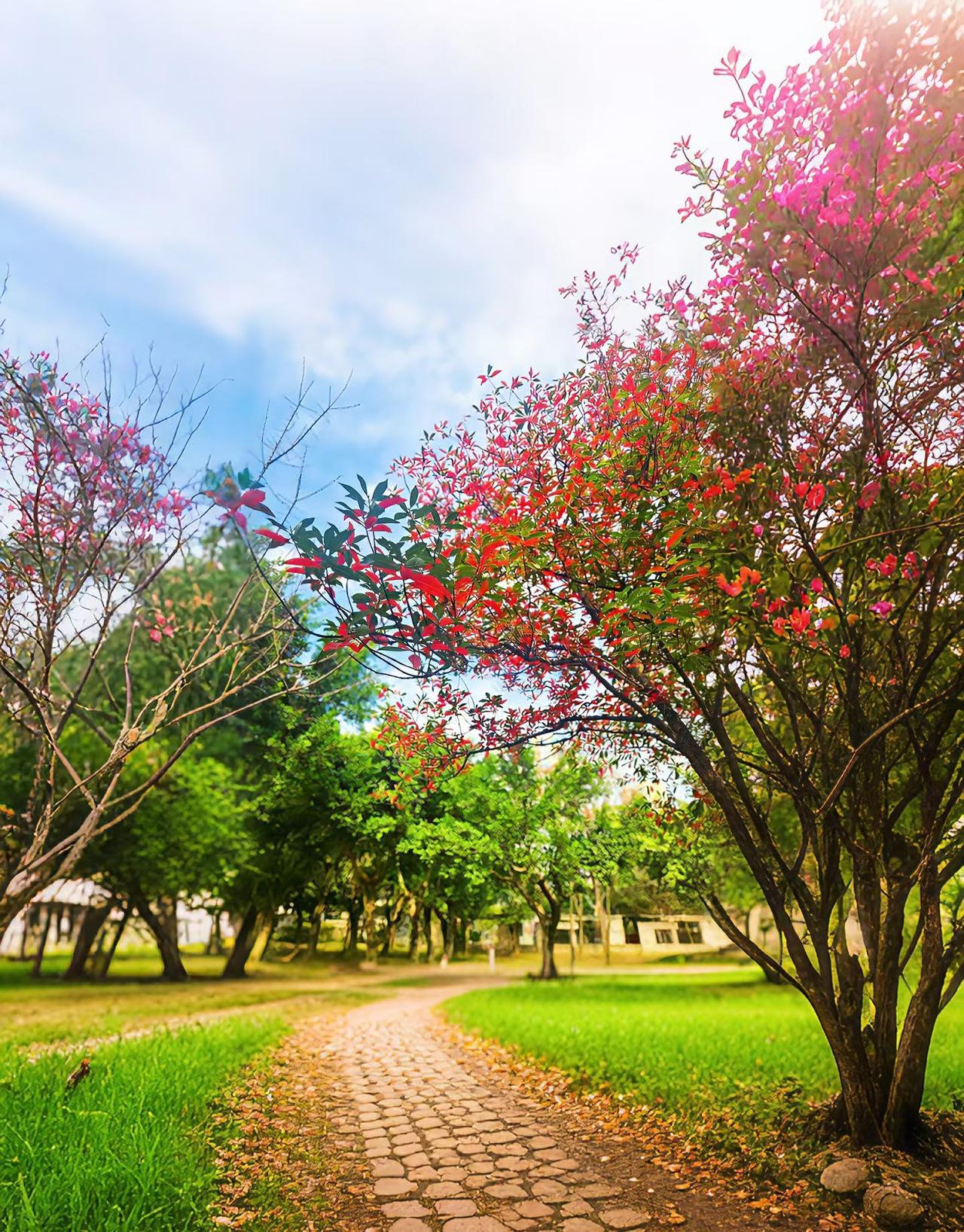 家人们！春天的风一吹，脑壳里的懒虫直接被吹得连滚带爬，满脑子就只剩两个字：出门！