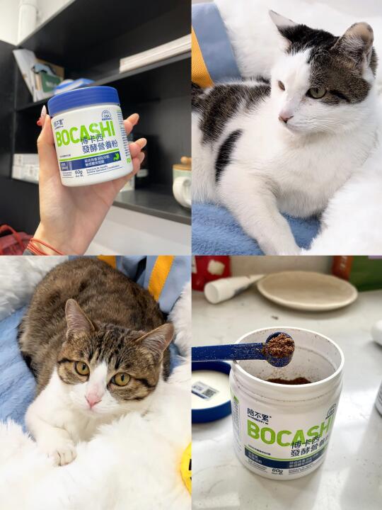 亲测有效！猫吐了软便了要及时喂这个！！