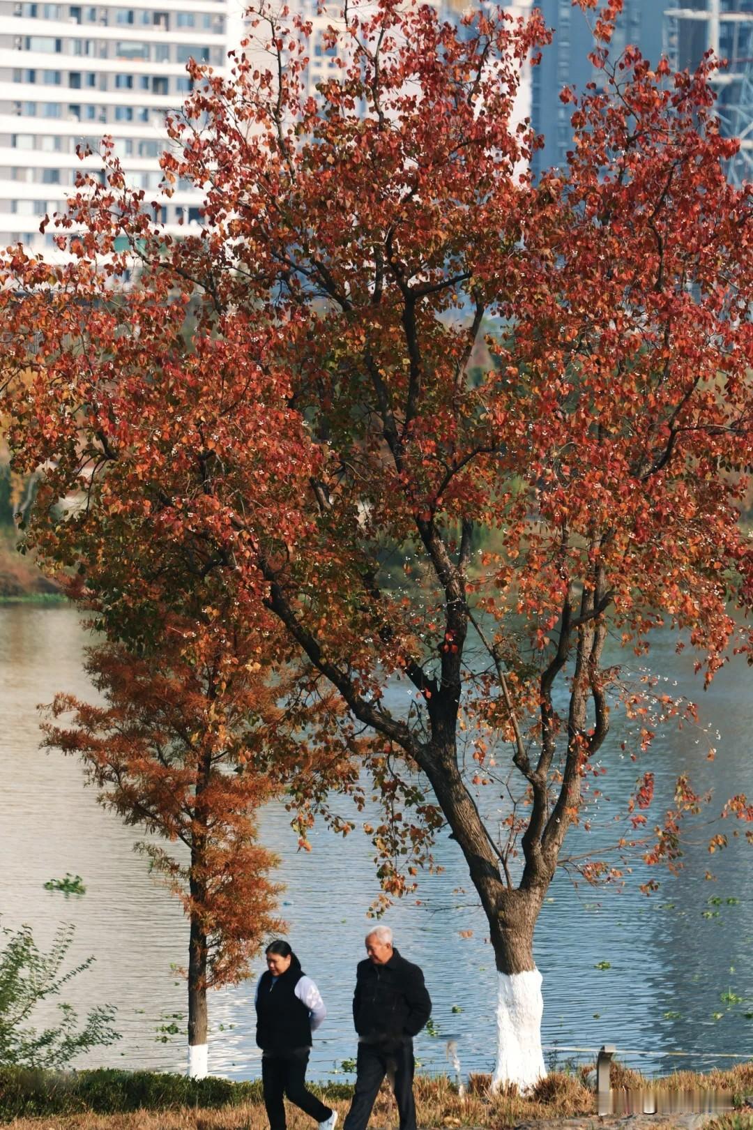我新发布的内容被官方推荐啦！👍你也快来发布一条吧！带