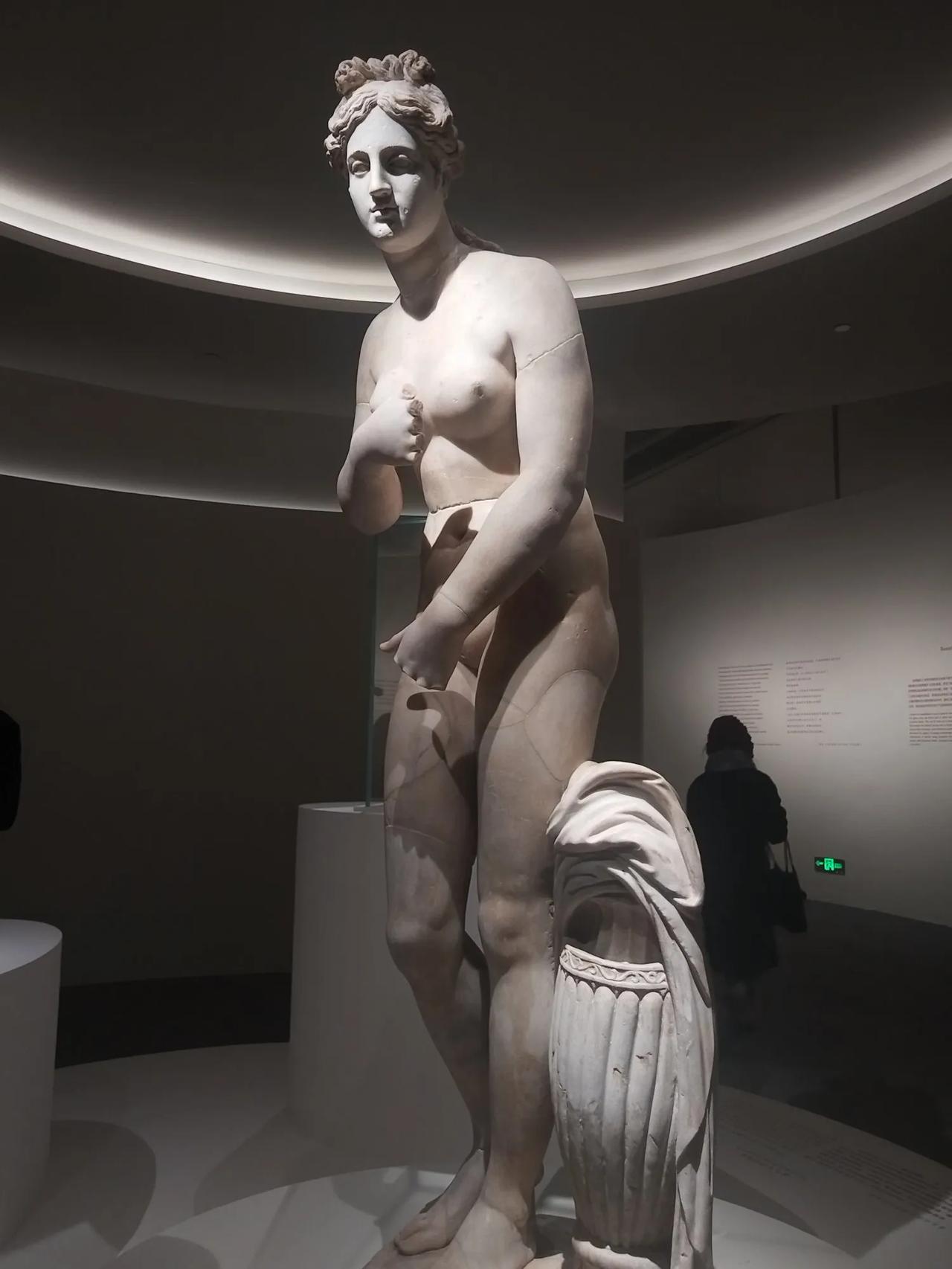 新诗觅知音


乳房

看到有人把乳房比喻像一朵花
我气够呛
乳房就是乳房
其它