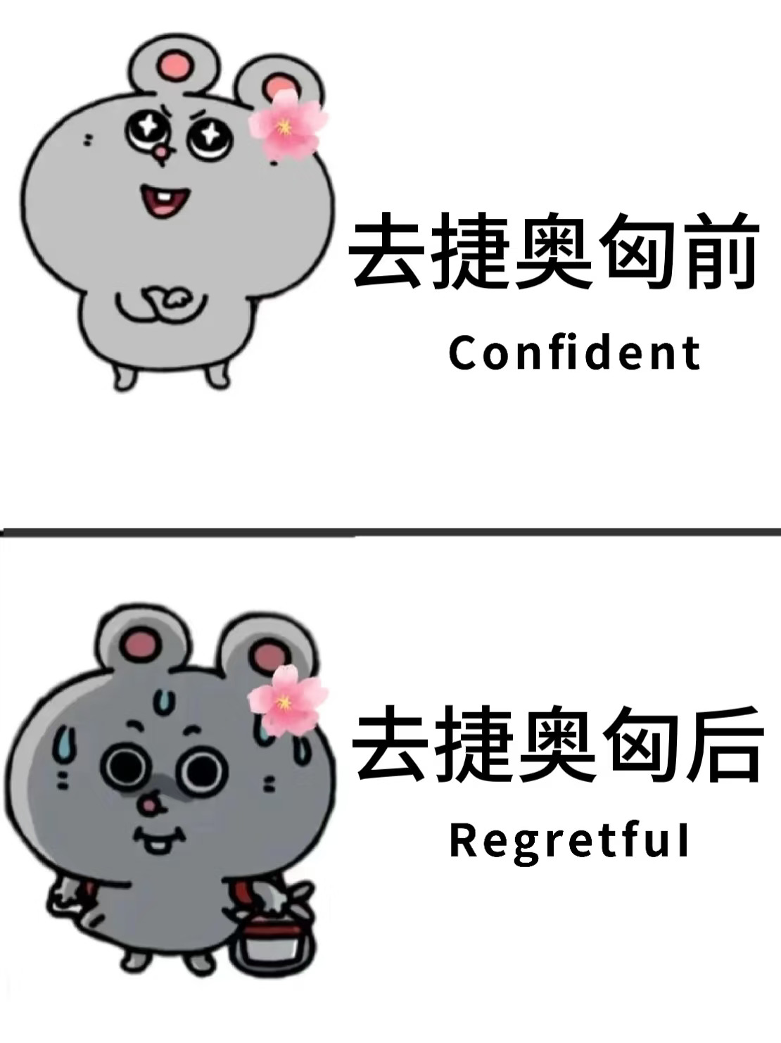 愿每一个去捷奥匈的人都能刷到这篇❤