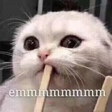 小囡侃null