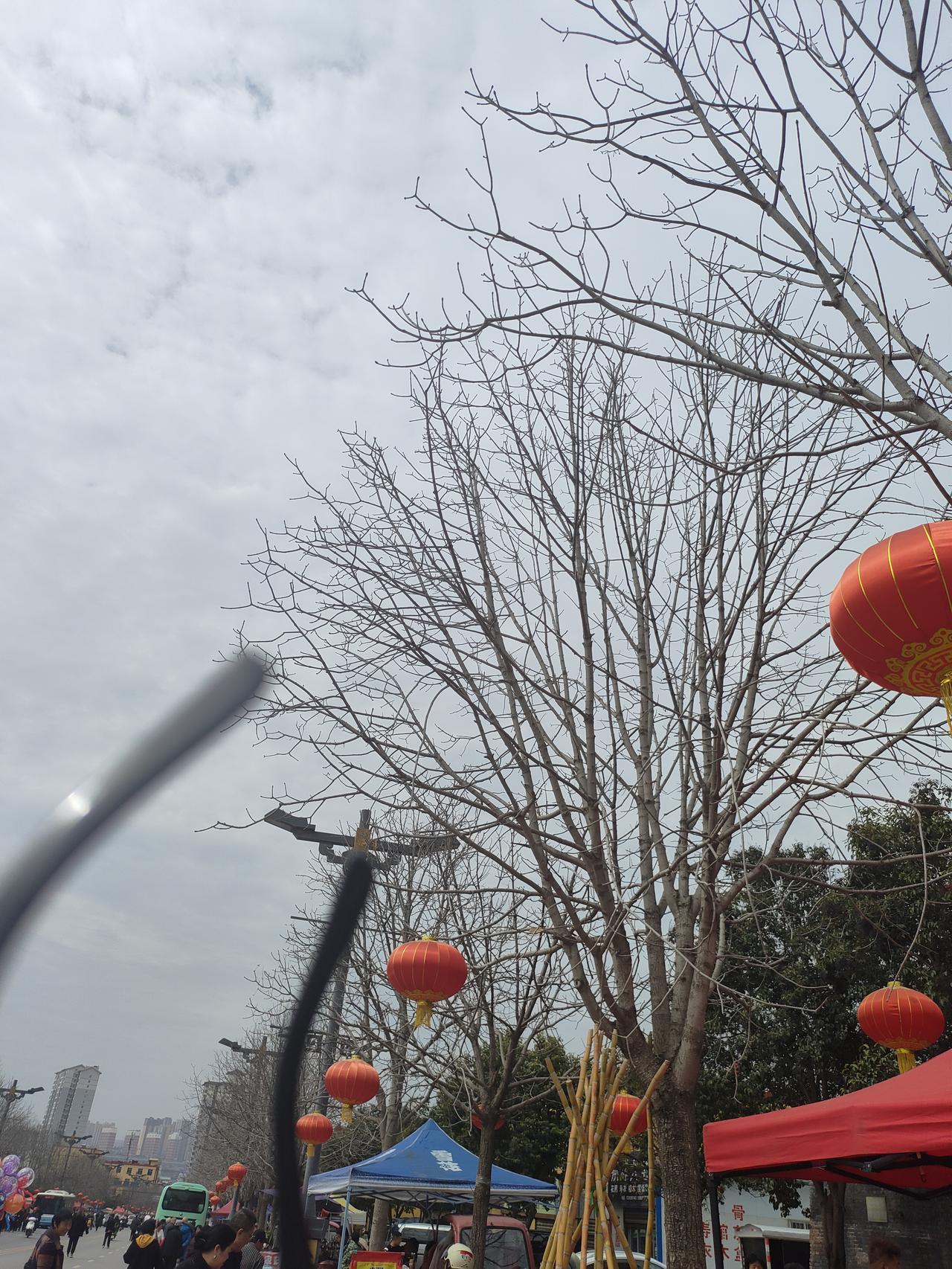 老了才明白：如果一个人独处很舒服，说明你就是个非常强大的人
 
人这一辈子，越往