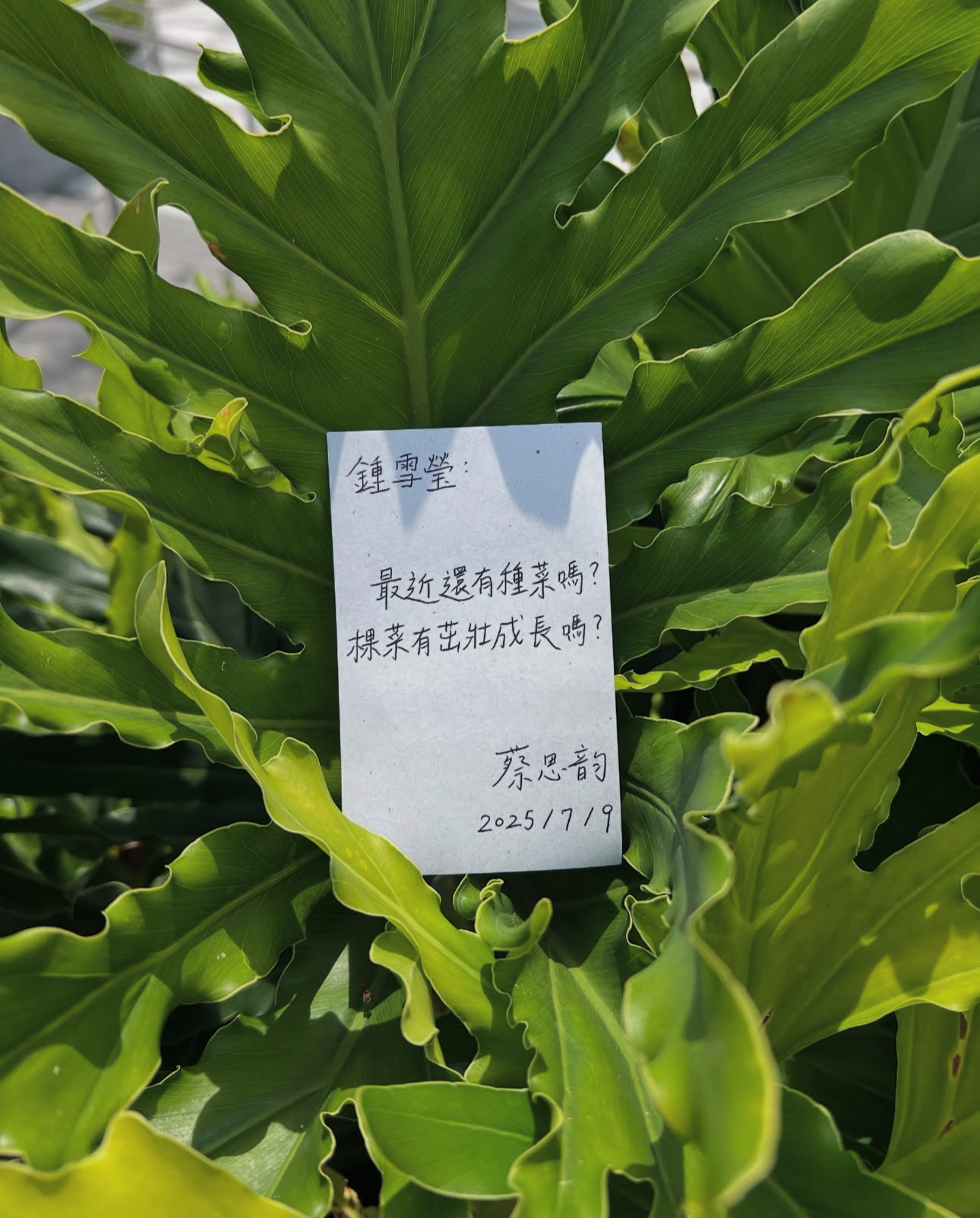 蔡思韵ins更新，有被可爱到。[期待] ​​​