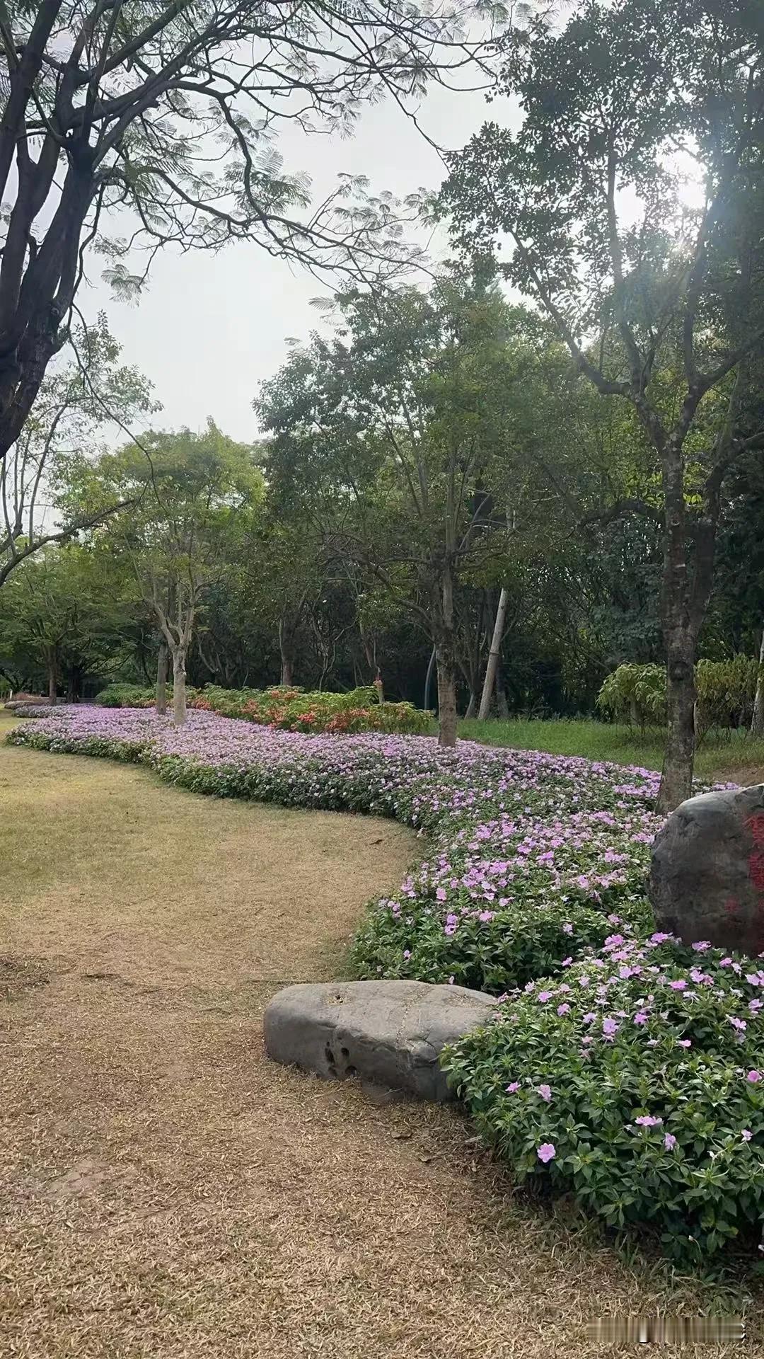 孩子找对象,你最看重的是什么?
说到孩子找对象这事儿，说到底，我觉得人品和善良才