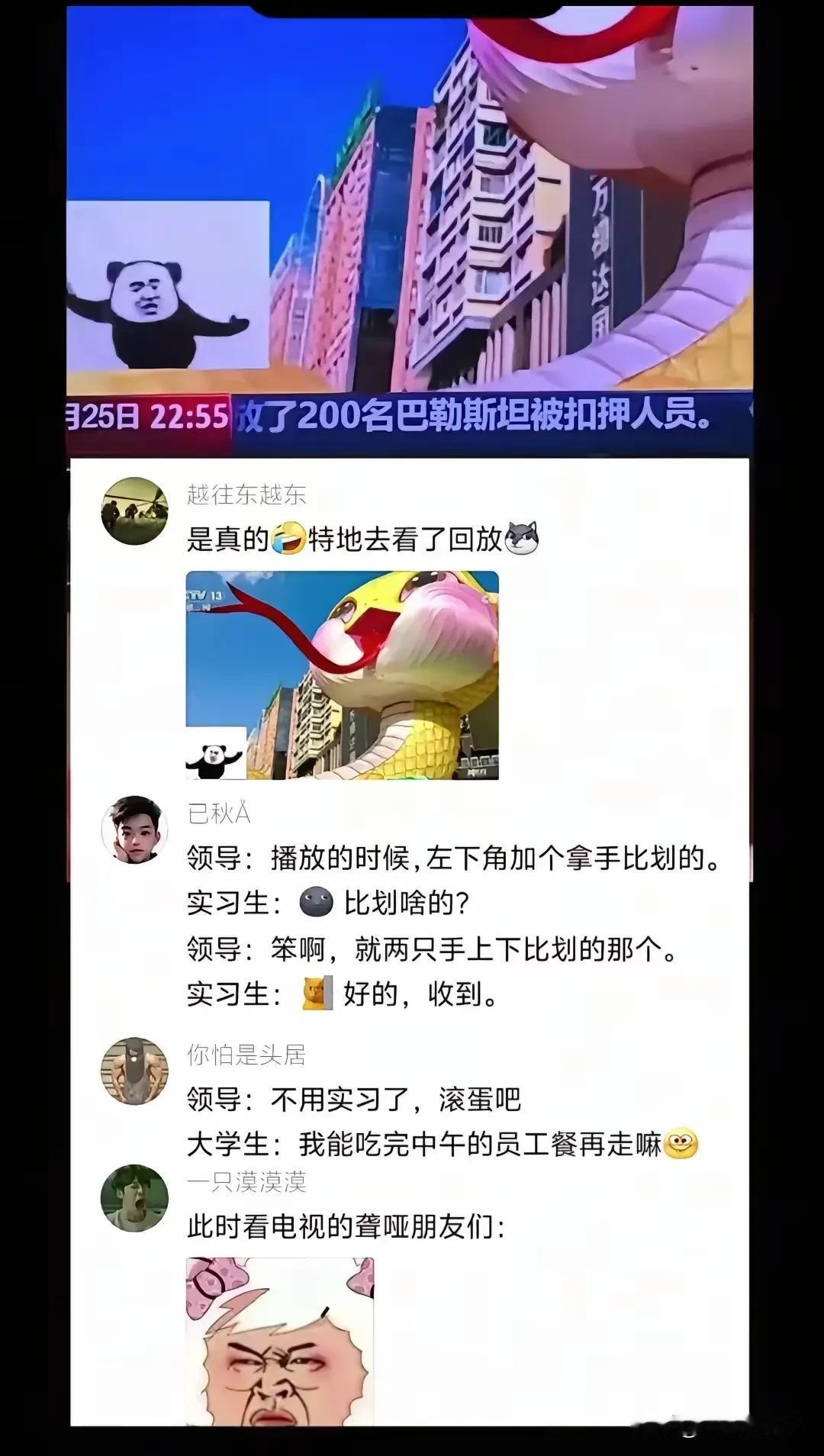 你闯过最大的篓子是什么？看这个，央视新闻频道也会有这种错误，领导让加手语翻译，实