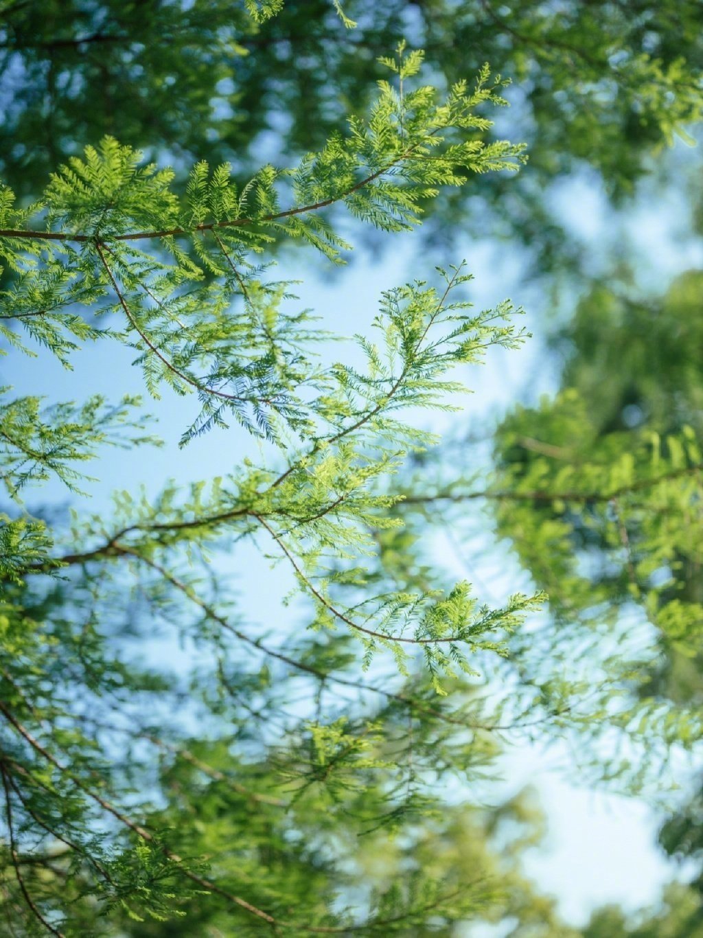 三天后的晚上，你会收到一个惊喜万分的消息 ​​​