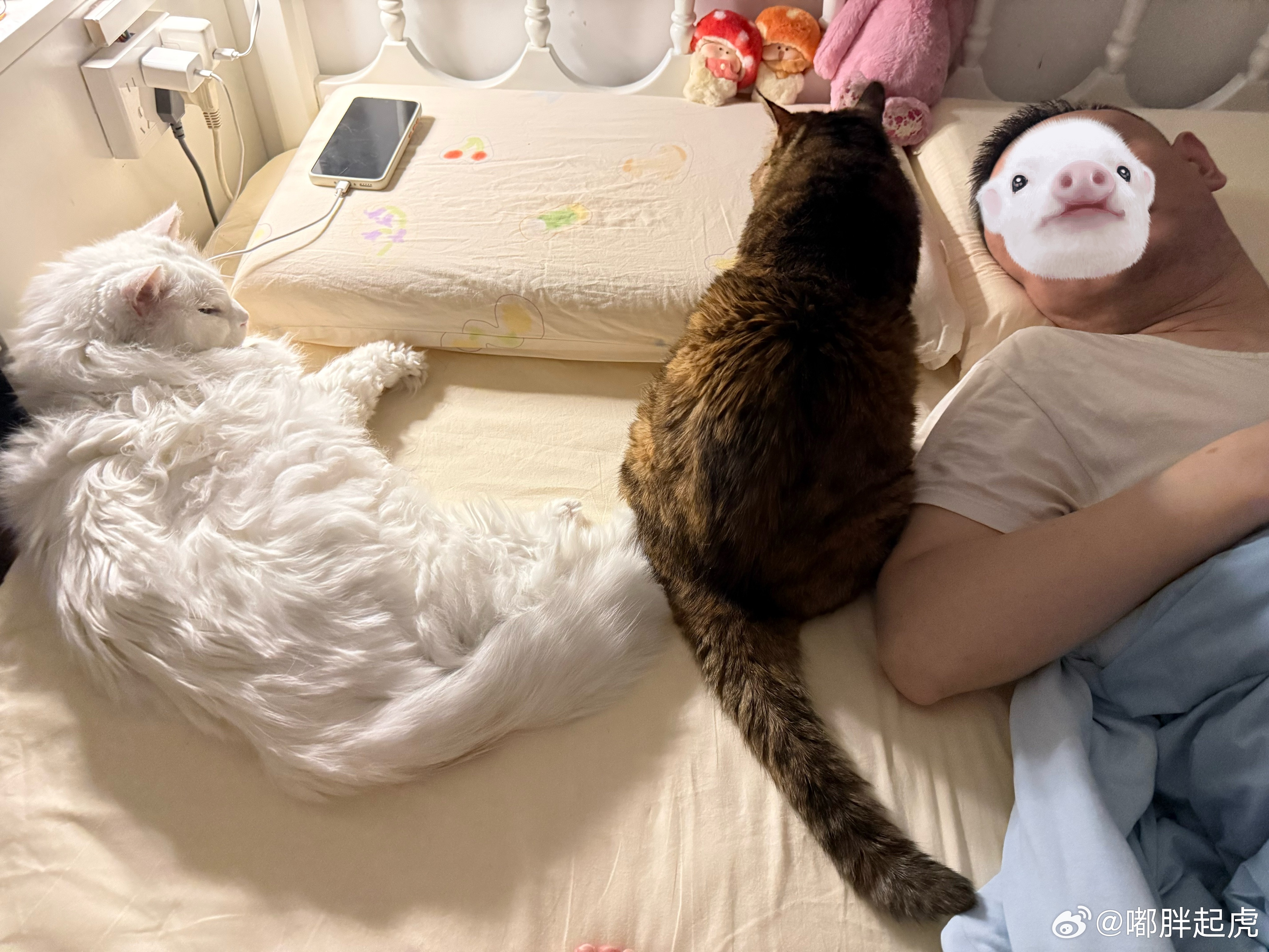 怎么滴，我坐着睡呗