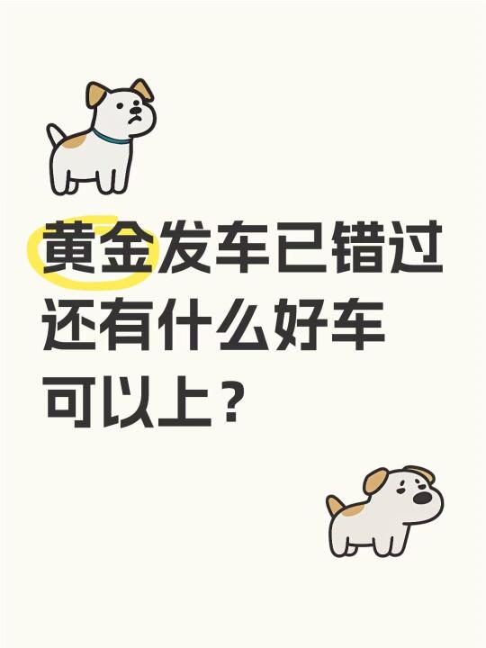 好车错过拍大腿