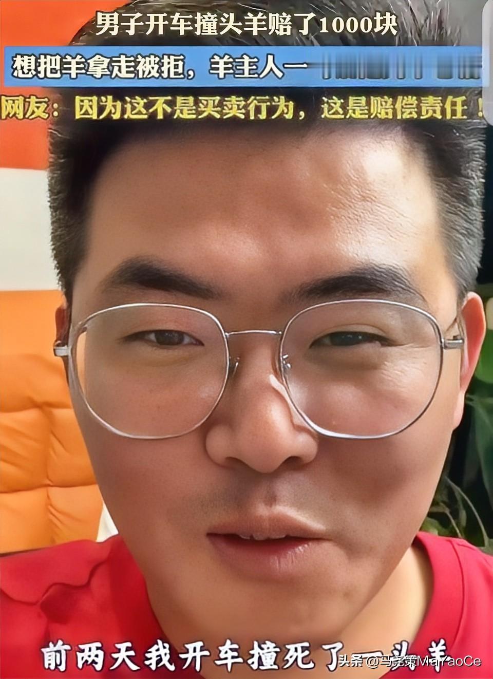赔了1000块想拿走死羊，被牧民一句话怼懵：你撞死我爹，还能把我爹带走吗？

这