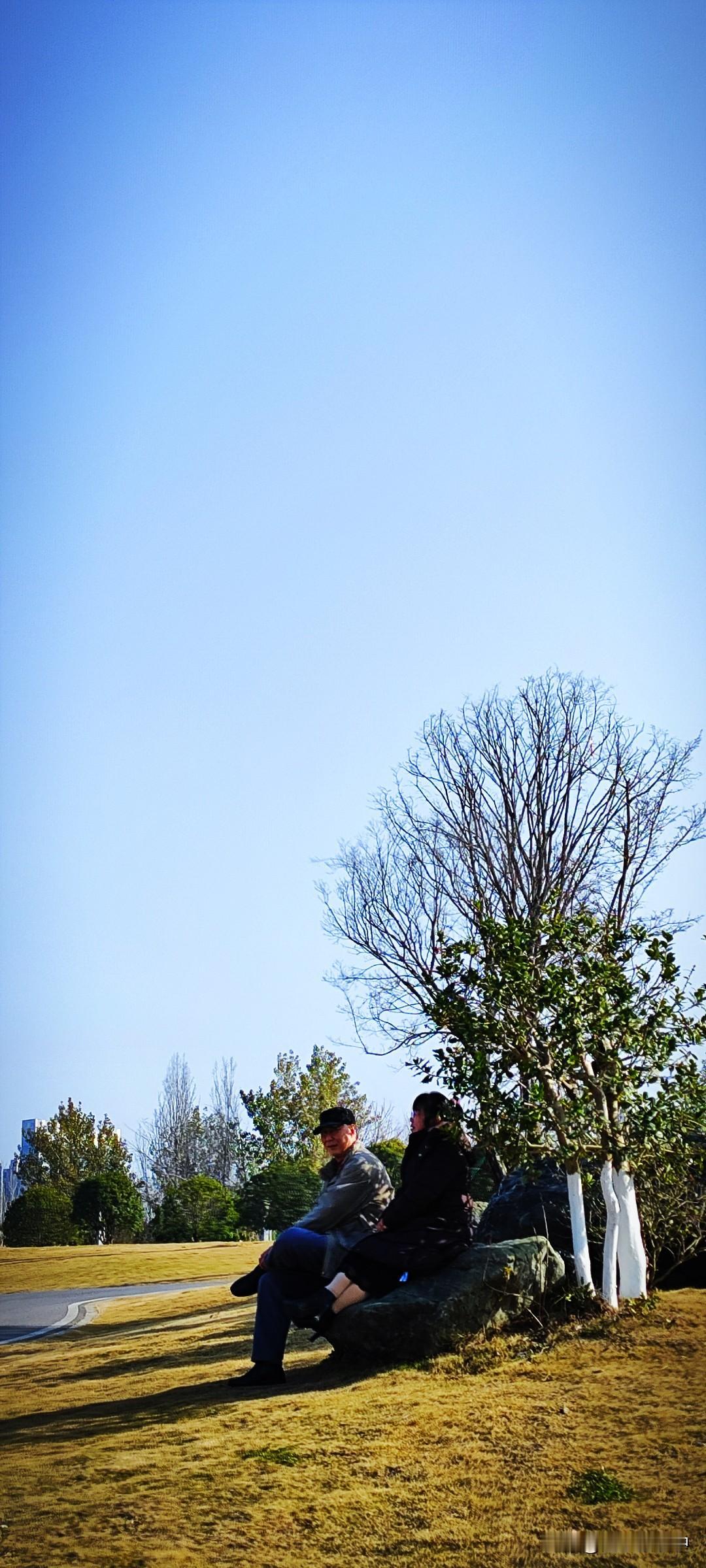 冬日生活打卡季小城的闲情是在家门口的汉江湿地公园享有一份难得的简单快乐。于是，晴