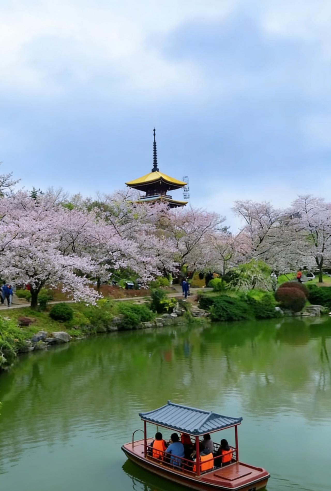 这10多天，一直陪伴老婆在医院住院部，我们的病房，共有三个病人，都是在脑外科。