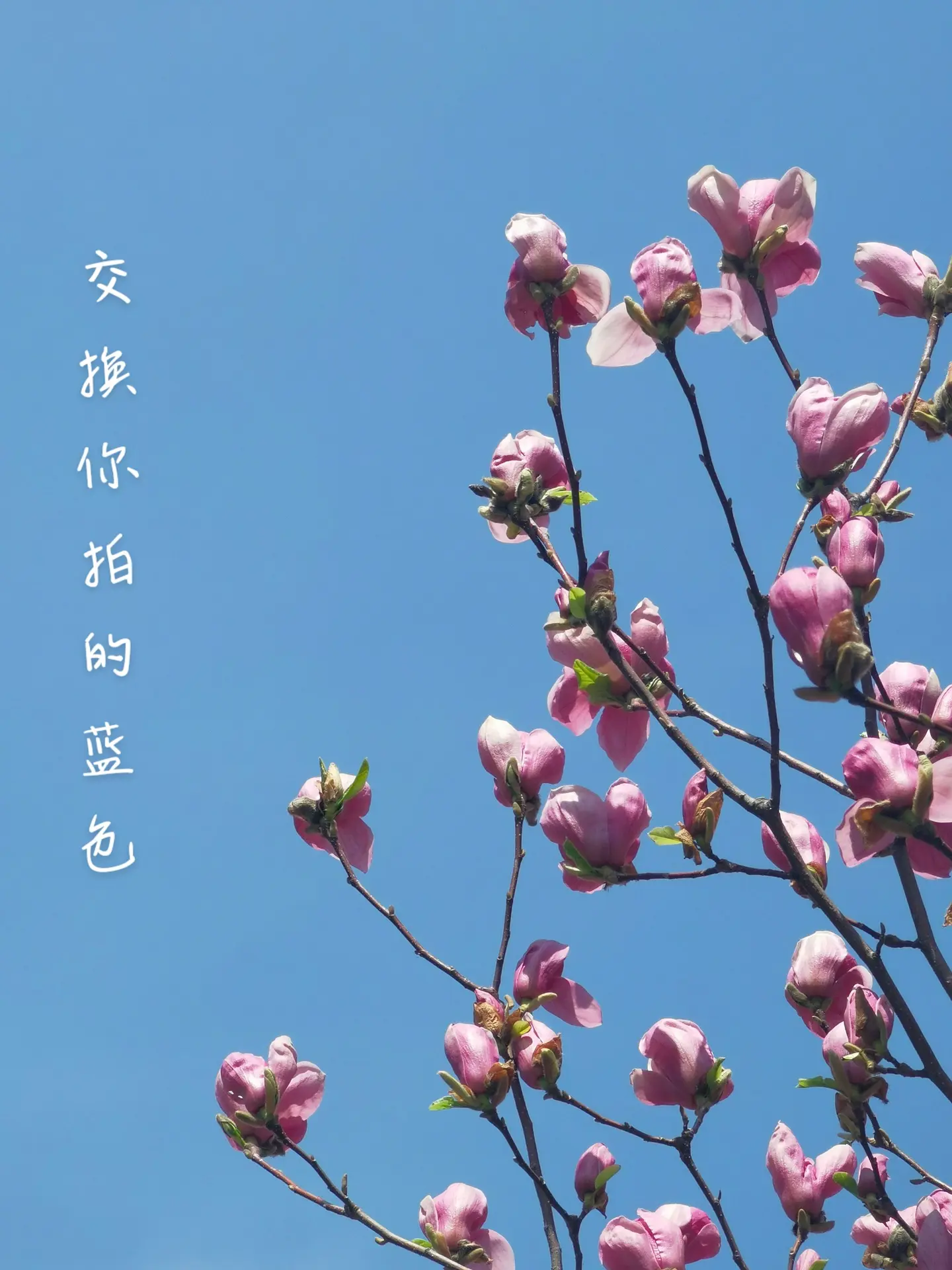 你知道天空有多蓝