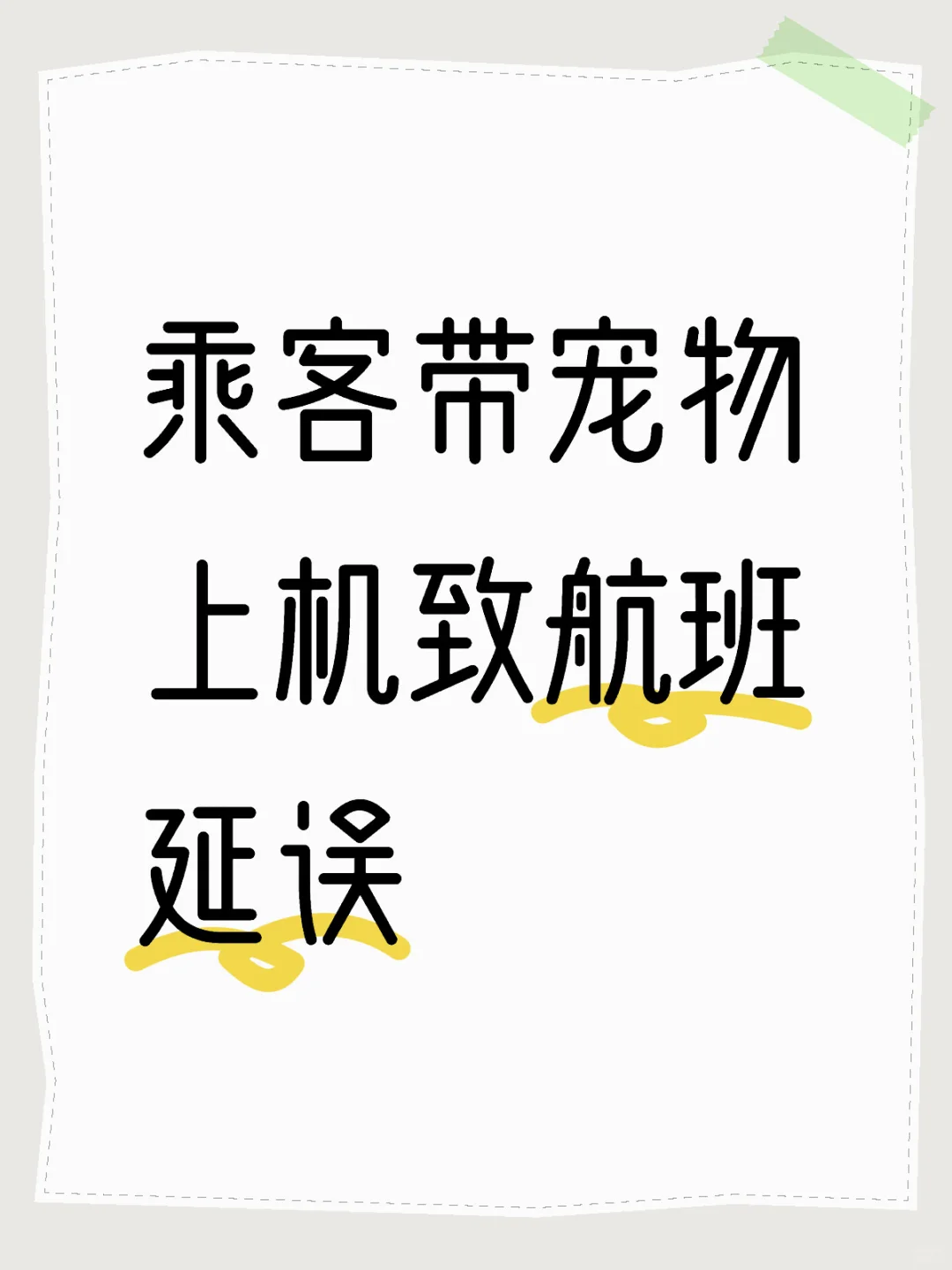 乘客带宠物上机致航班延误