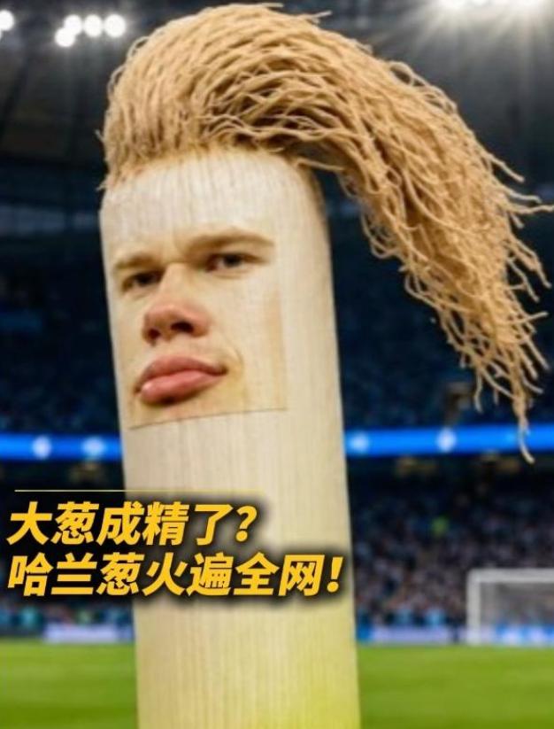 一根大葱让身价两亿的球星破防了：哈兰德的狗头表情包为什么能火遍全网 
 
202