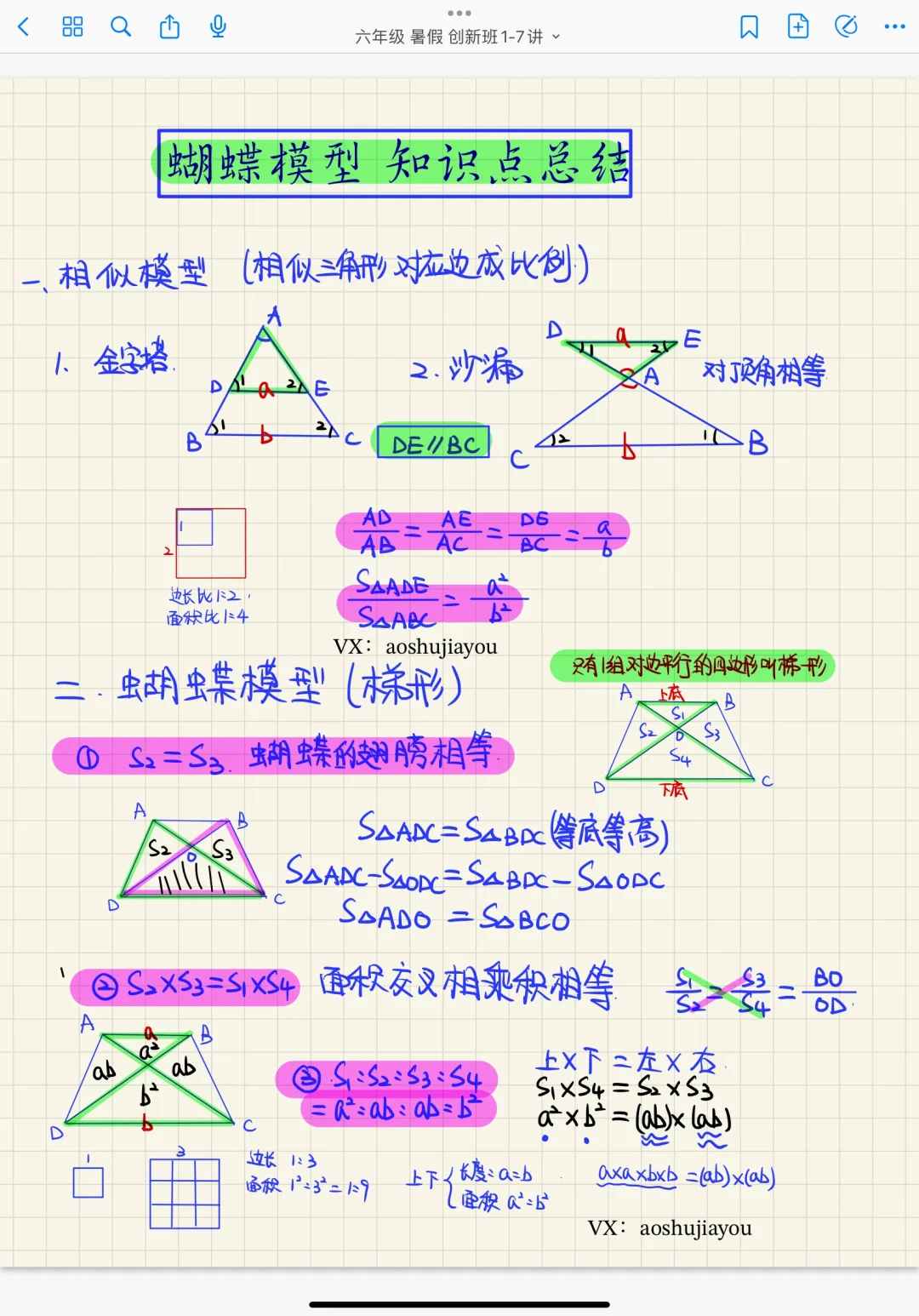 蝴蝶模型 知识点总结