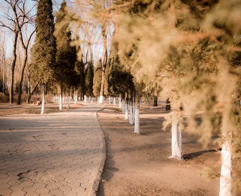 今年冬天在天津滨海新区生活，那可真是太舒坦了，实实在在的暖冬啊！往年这时候，出门