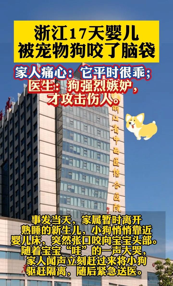 浙江杭州一宠物狗咬伤 17 天婴儿，只因它吃醋了。杭州的这家人养了一只宠物狗，平