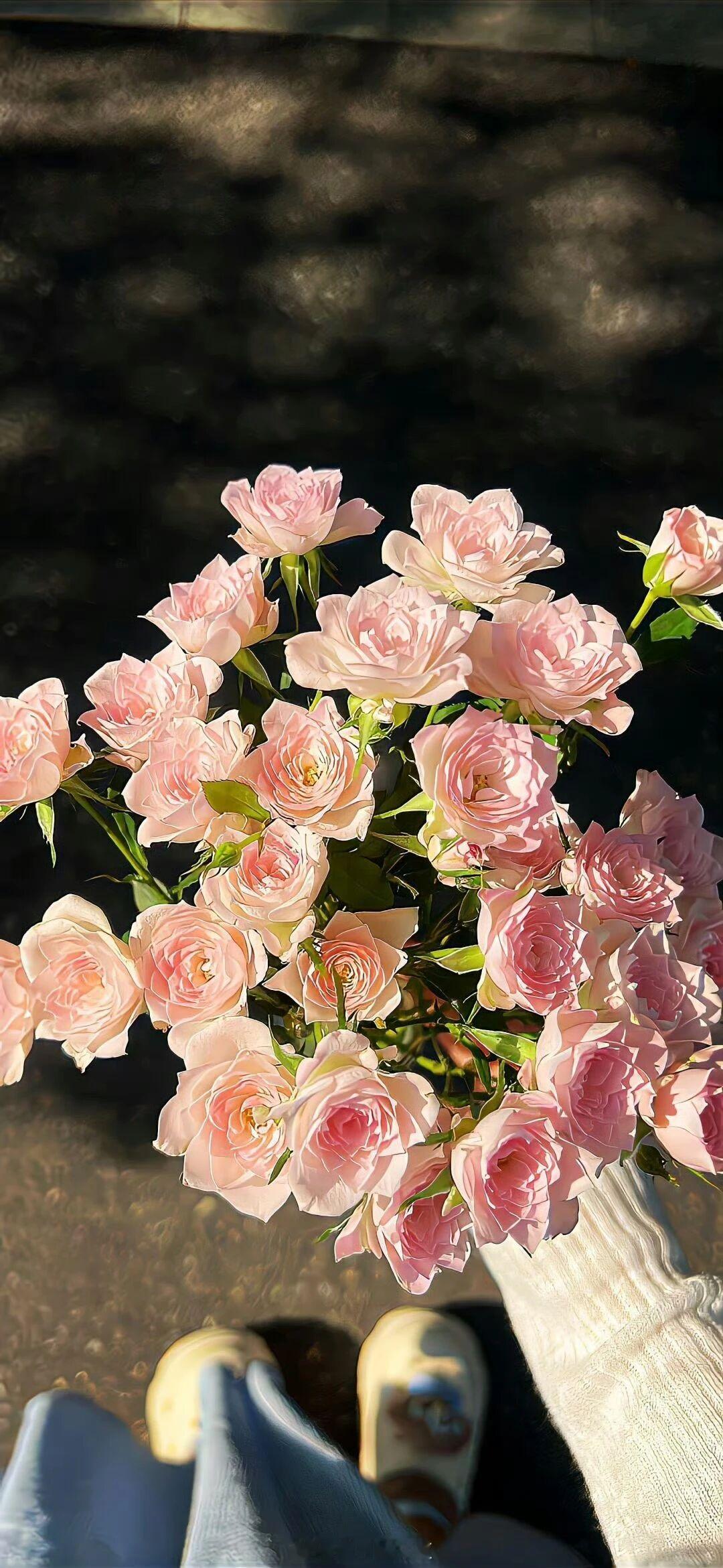 他永远走在她前面，在她看不见的地方为她披荆斩棘——《退热》早安 言情小说推荐