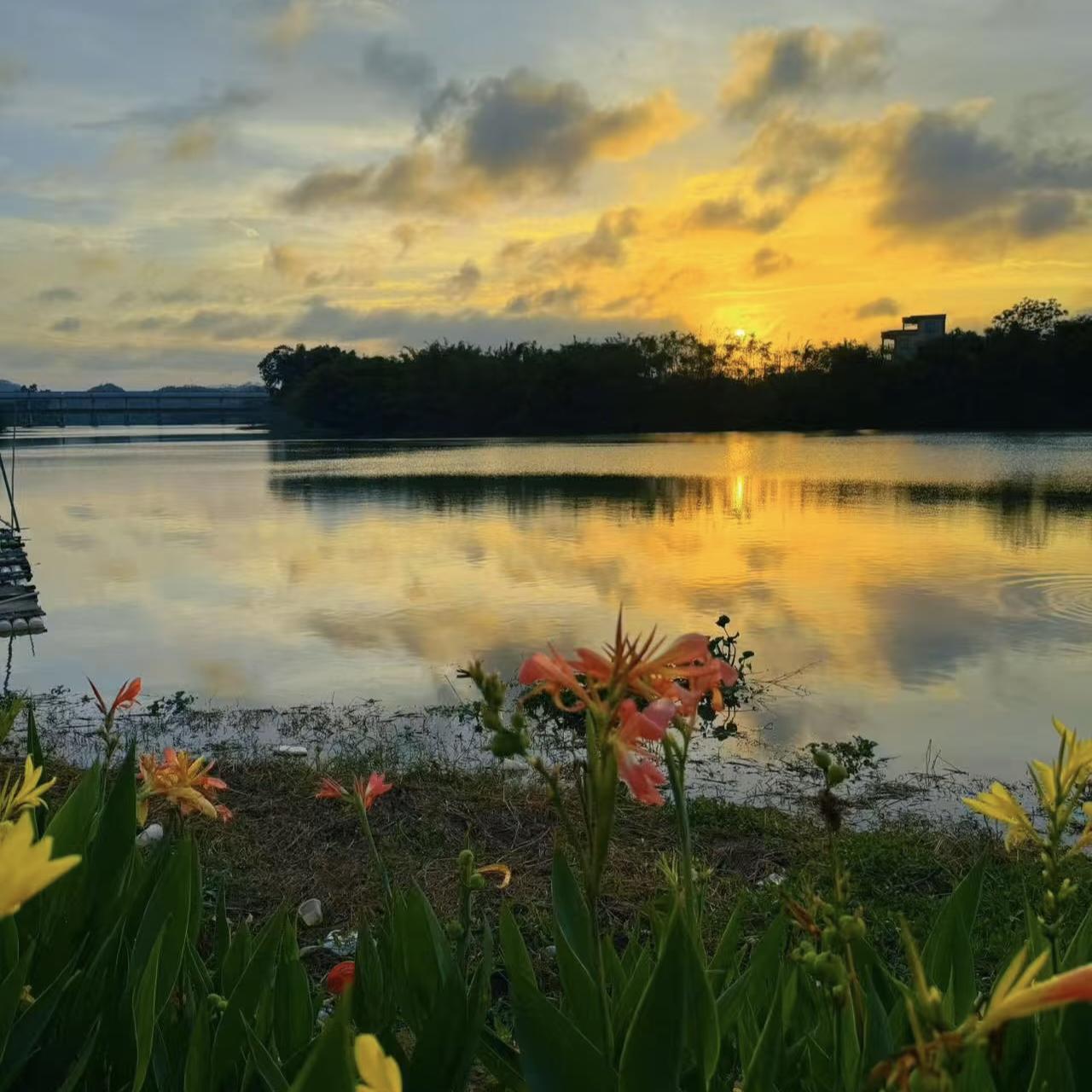 晒晒你拍夕阳西下时的美丽景色比起那句：“日落西山非我意，唯有晚霞懂我心”。我更喜